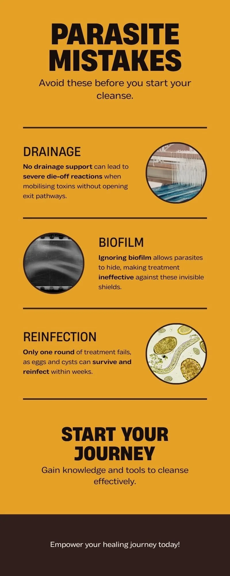 Infographic Parasite Cleanse Mistakes Drainage Biofilm and Reinfection Winged Heart Healing Nik Heartsong
