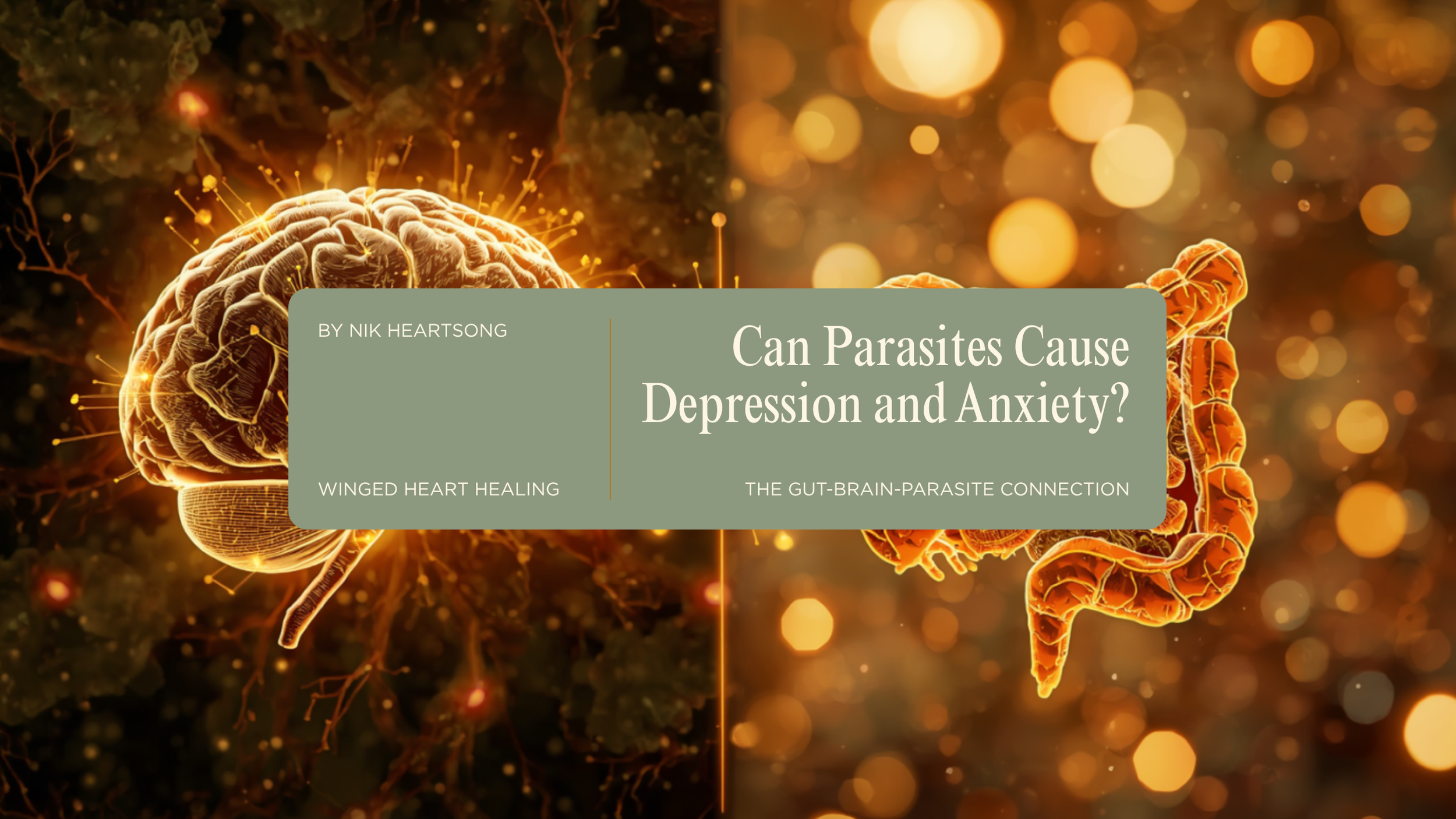 Can Parasites Cause Depression and Anxiety - the Gut-Brain Parasite Connection Nobody is Talking about by Nik Heartsong Winged Heart Healing Root cause image of the connection between brain and gut