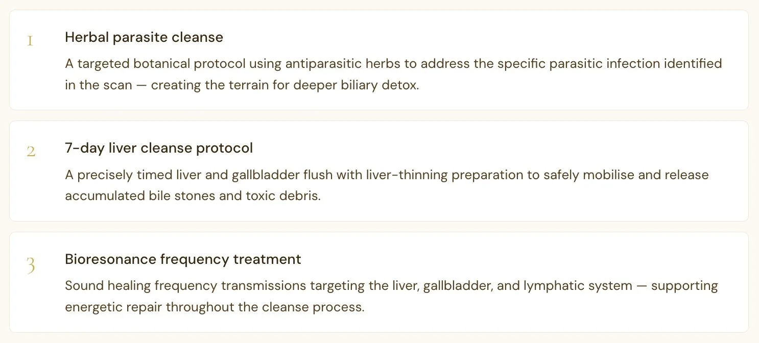 Ana Cristina's Holistic Detox and Bioresonance Protocol with Parasite and Liver Cleanse with Nik Heartsong Winged Heart Healing