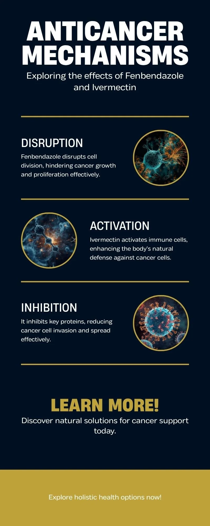Infographic exploring the effects of Fenbendazole and Ivermectin to disrupt cancer cell division, activate immune enhancement, and inhibit key proteins with Nik Heartsong Winged Heart Healing