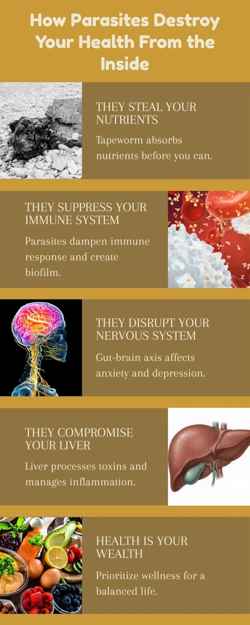 How Parasites Destroy Your Health from the Inside by Nik Heartsong Winged Heart Healing Disrupt Nervous and Immune Systems