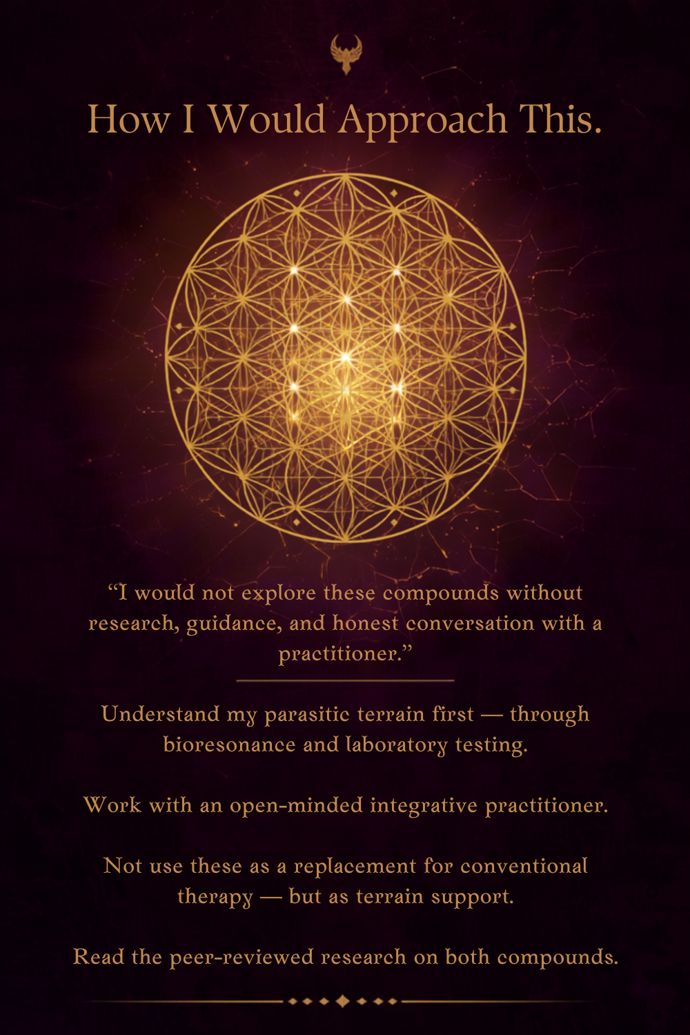 How I Would Approach a Natural Healing Protocol for Cancer and Autoimmune by Nik Heartsong Winged Heart Healing