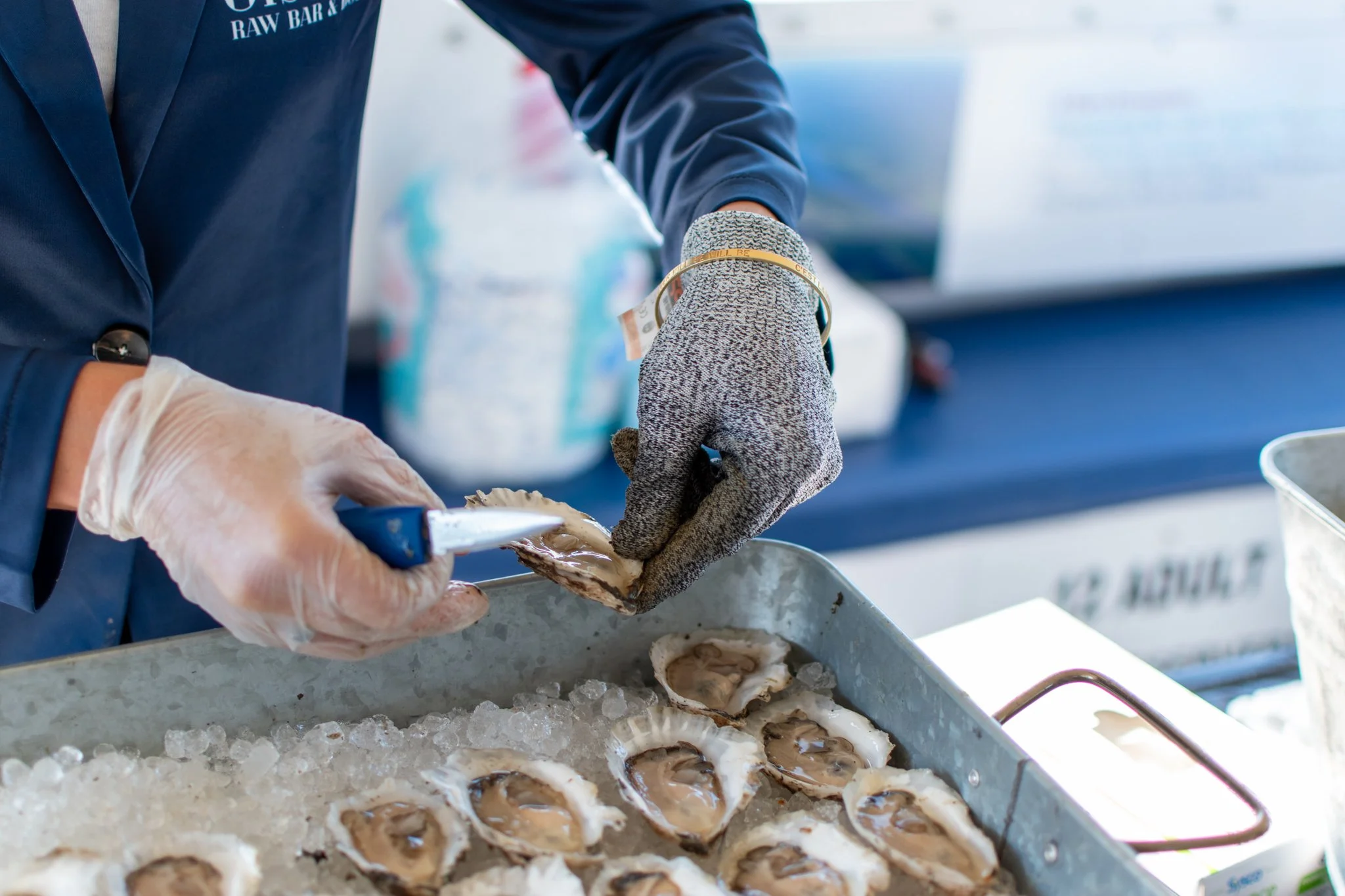 Oyster Tasting Cruises | Bath, Maine
