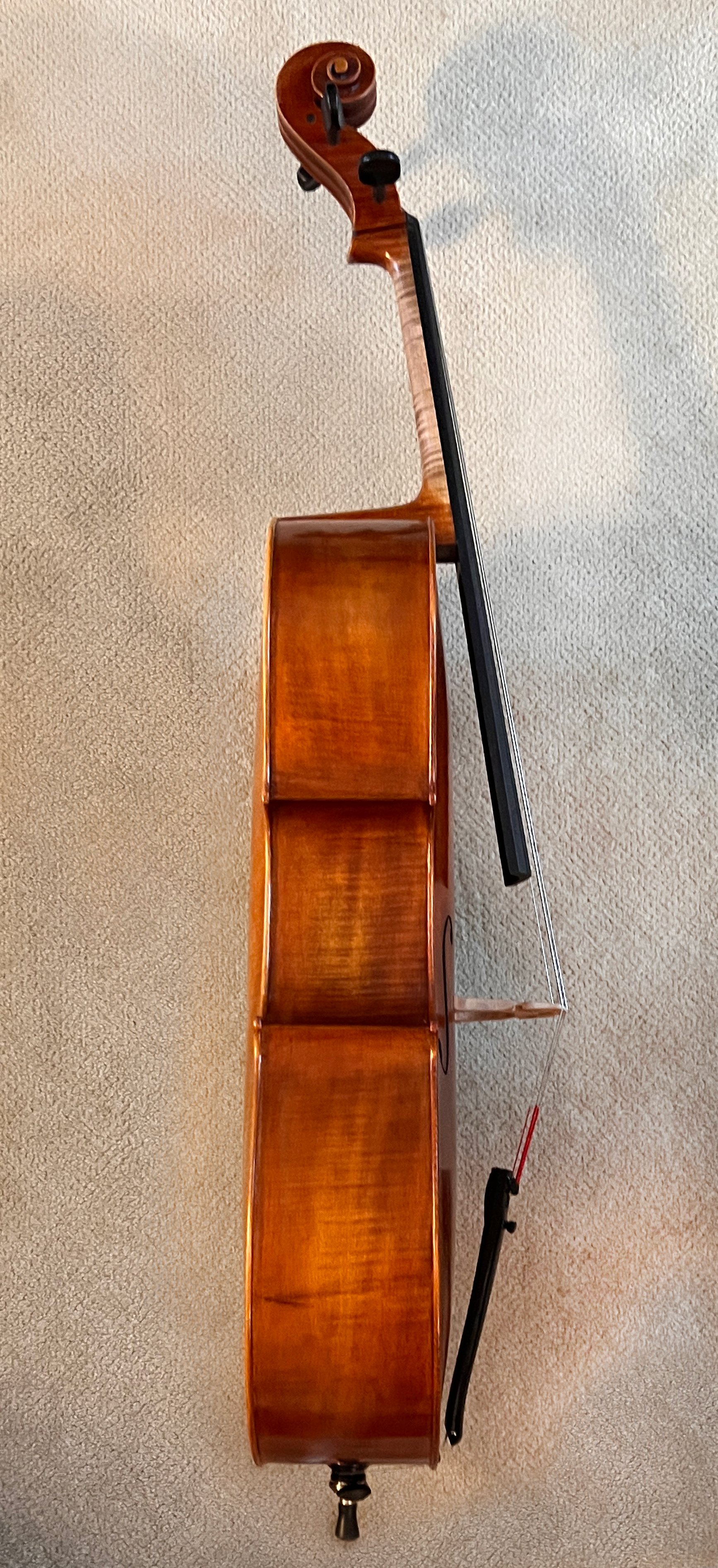 Cello-7-right.jpg