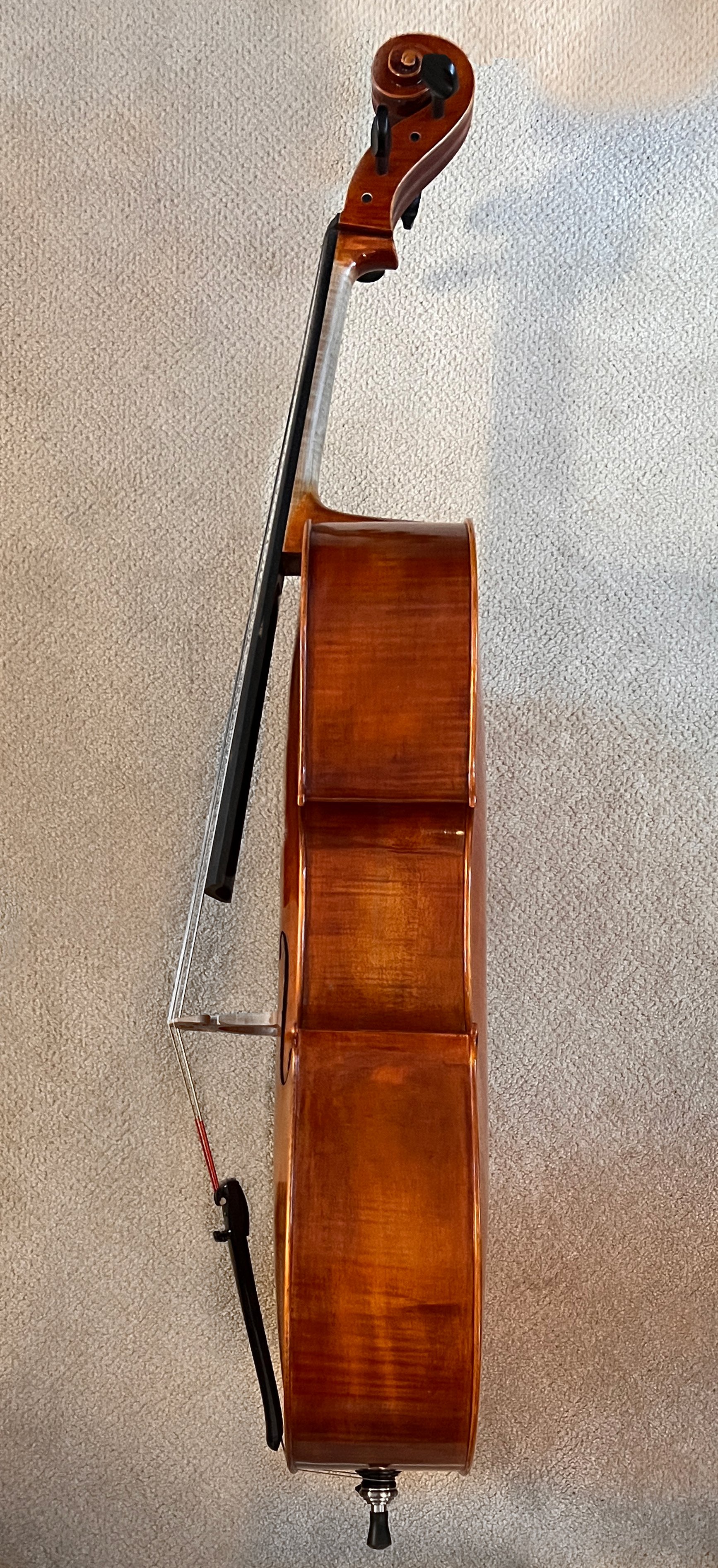 Cello-7-left.jpg