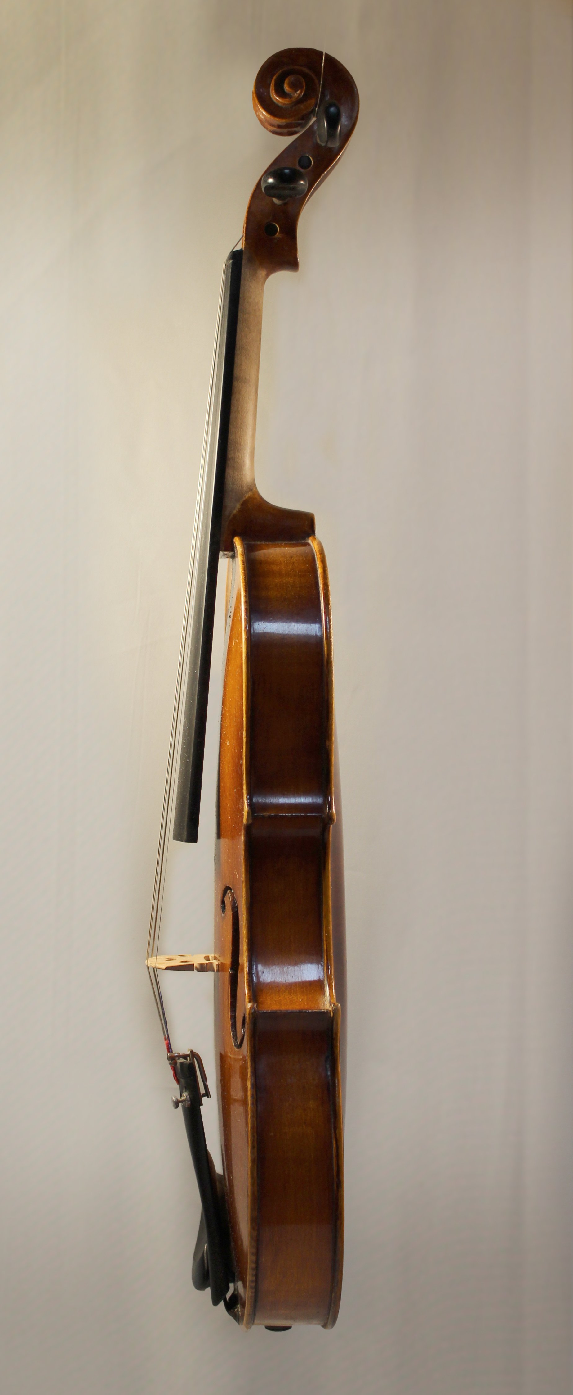 Violin6-Left.jpg