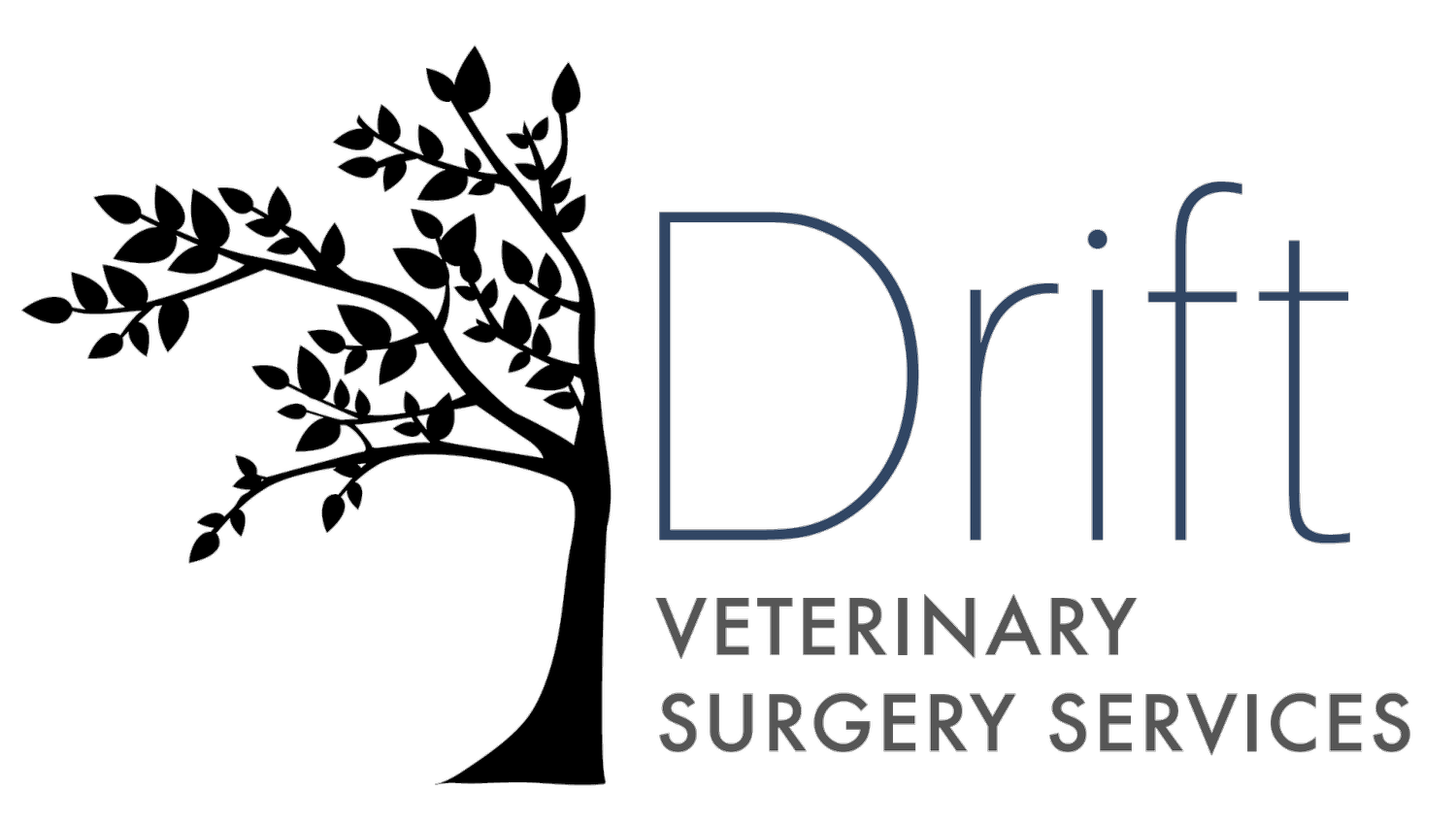 Drift Veterinary Surgery Services