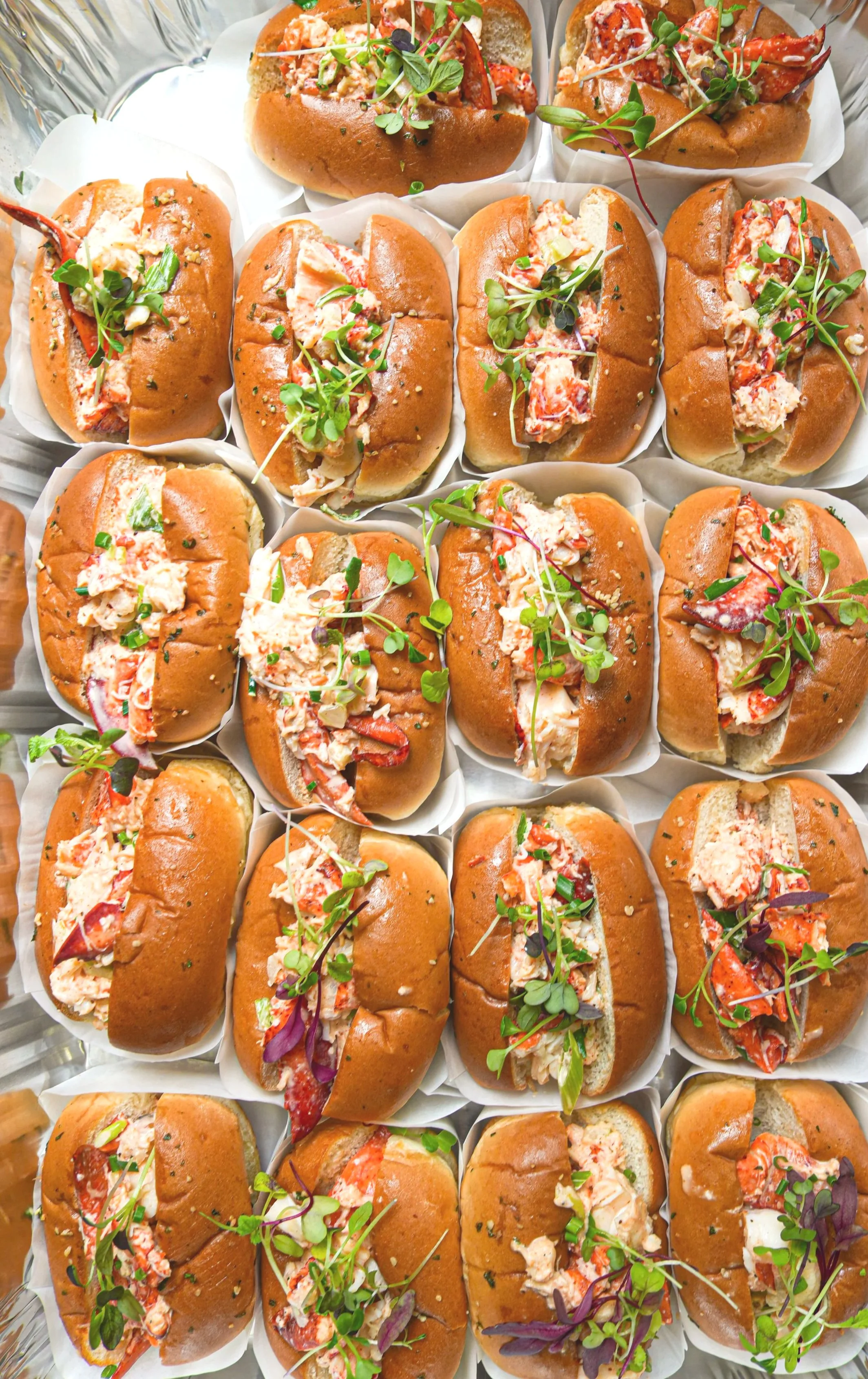 Lobster+rolls.jpg