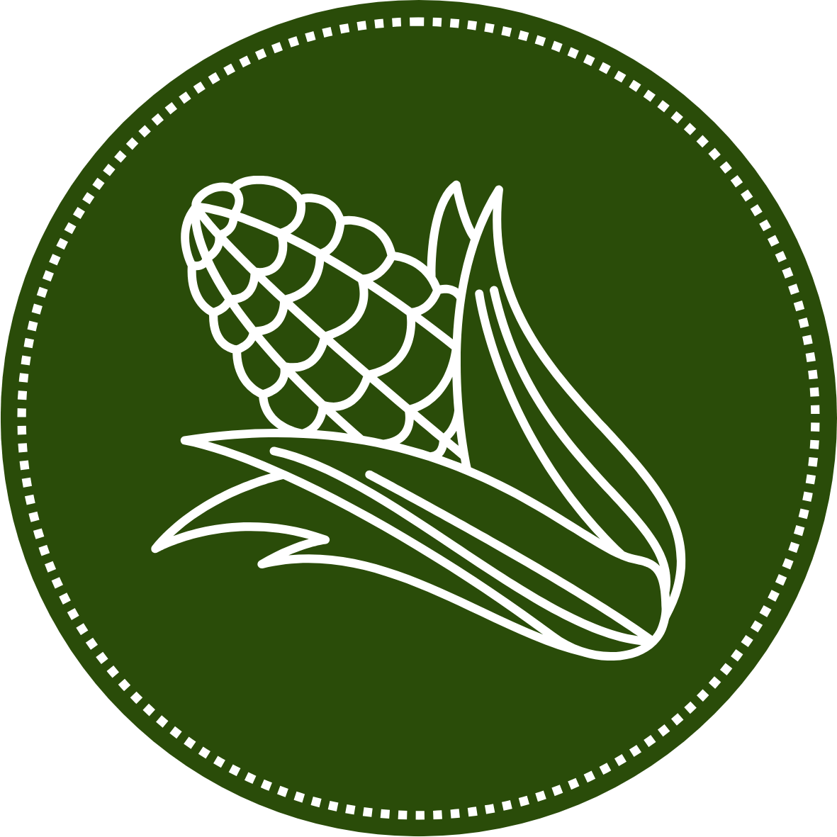 Corn illustration representing Alyssa's Midwest roots