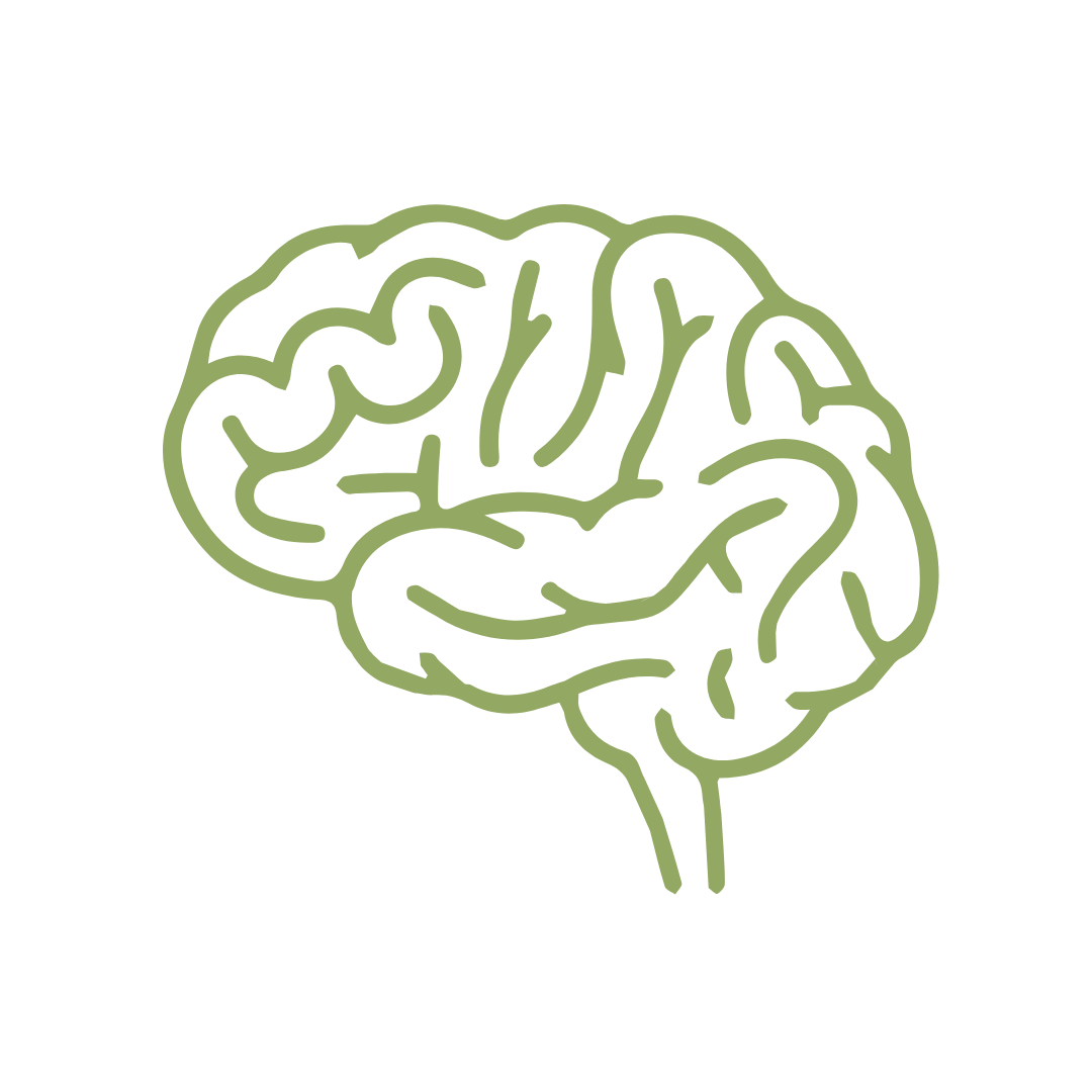 Brain icon representing ADHD and neurodivergent-friendly organizing