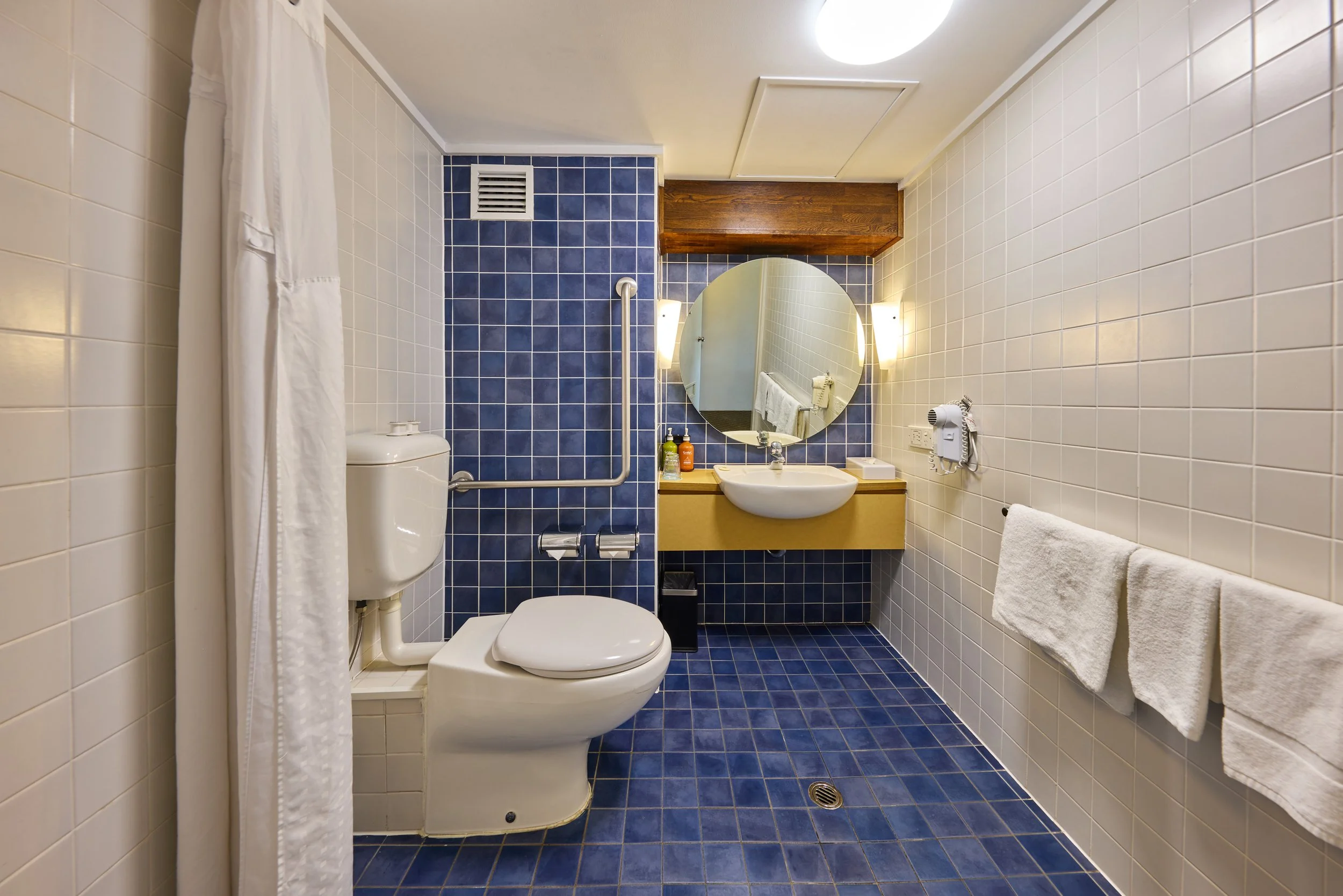 Accessible Bathroom With Rails and Shower Seat (2).jpg