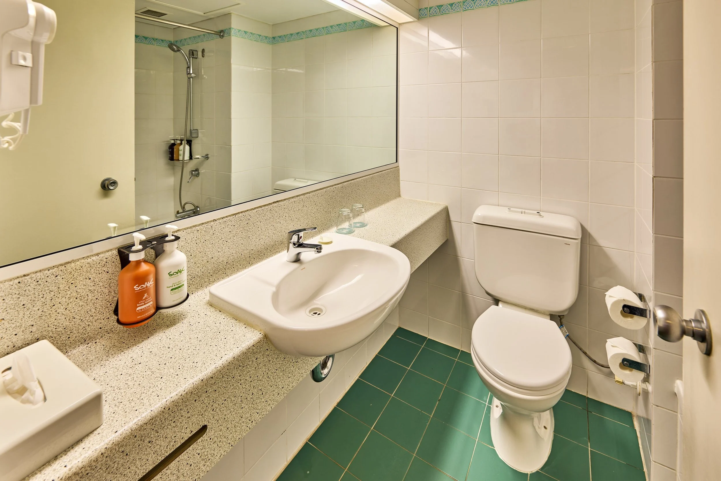 Bathroom showing sink, bathroom amenities and toilet (1).jpg