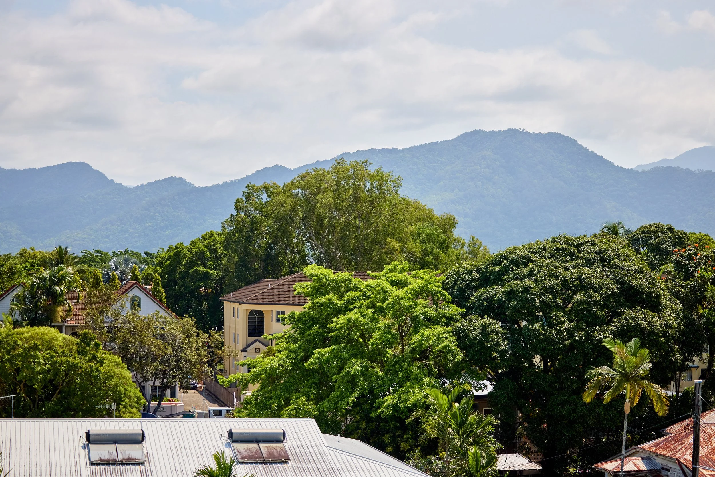 View of trees, roof tops and mountains.jpg