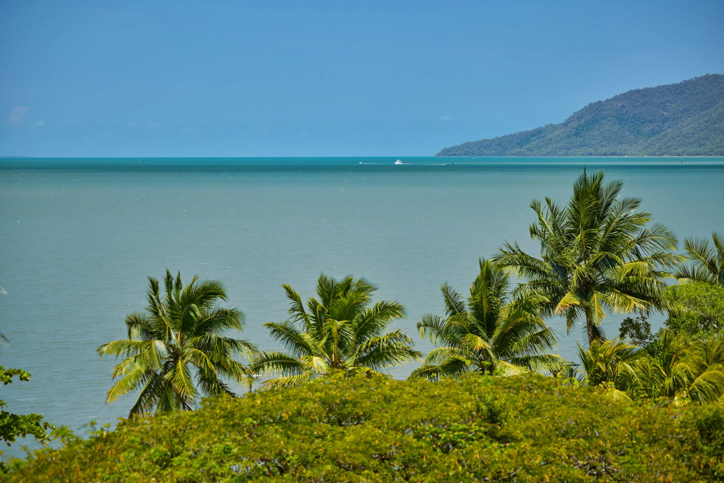 View from private balcony of palm trees and the waters of Trinity Bay.jpg
