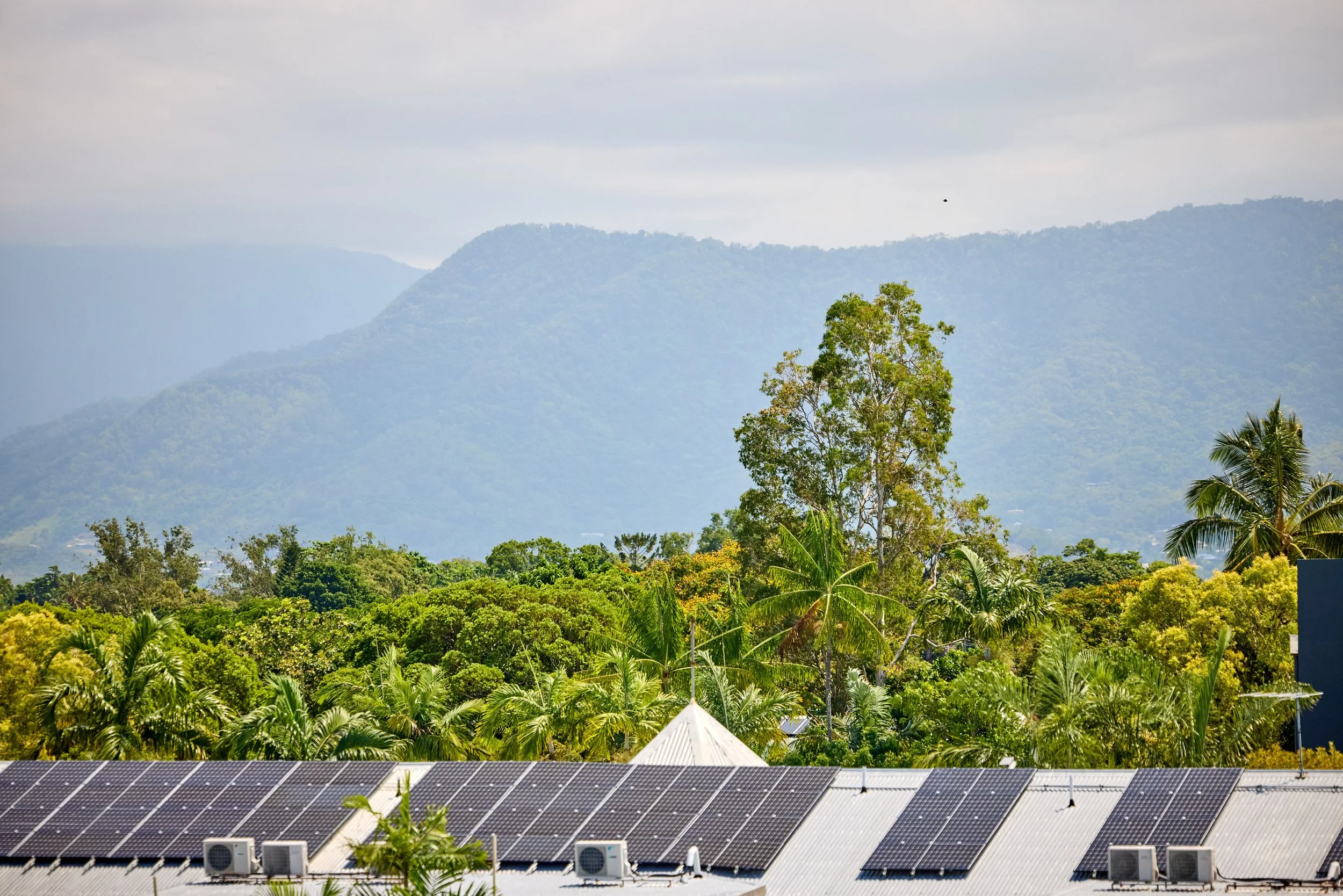 View of city roof tops and mountains in the background.jpg