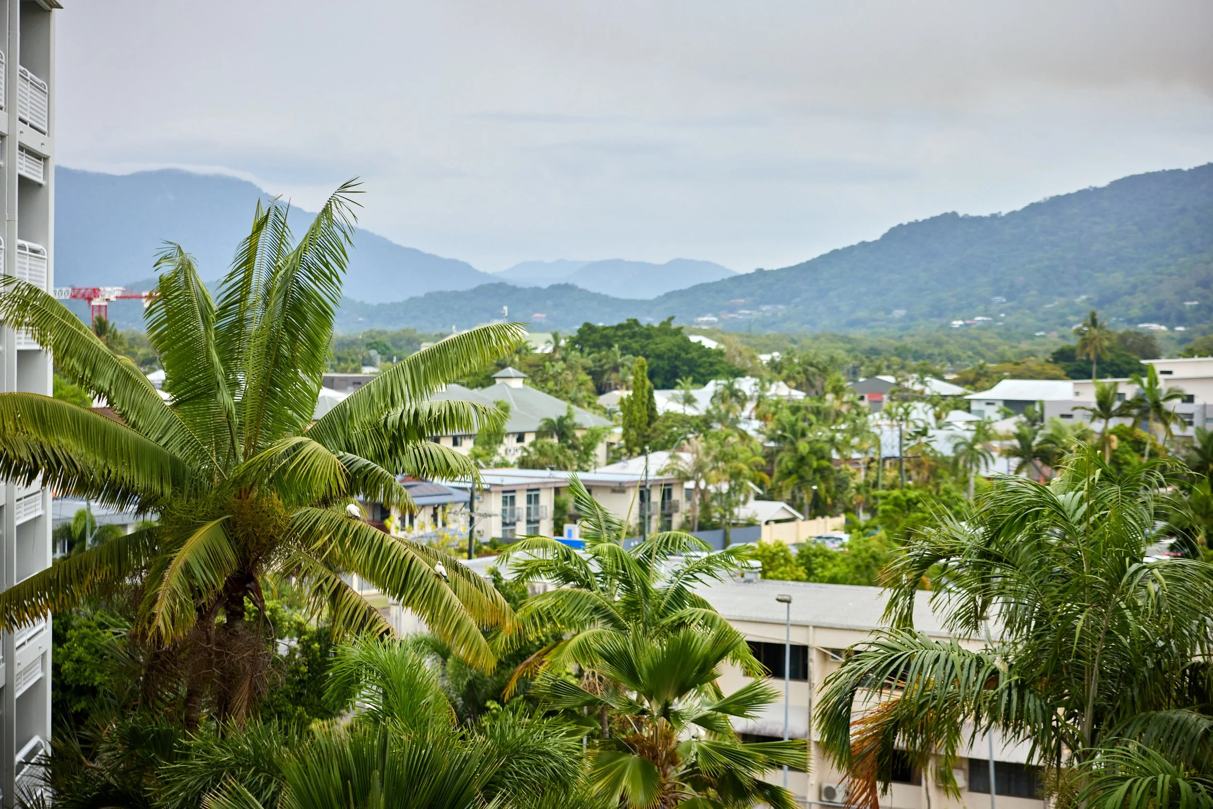 City, mountain and tree top views from private balcony.jpg