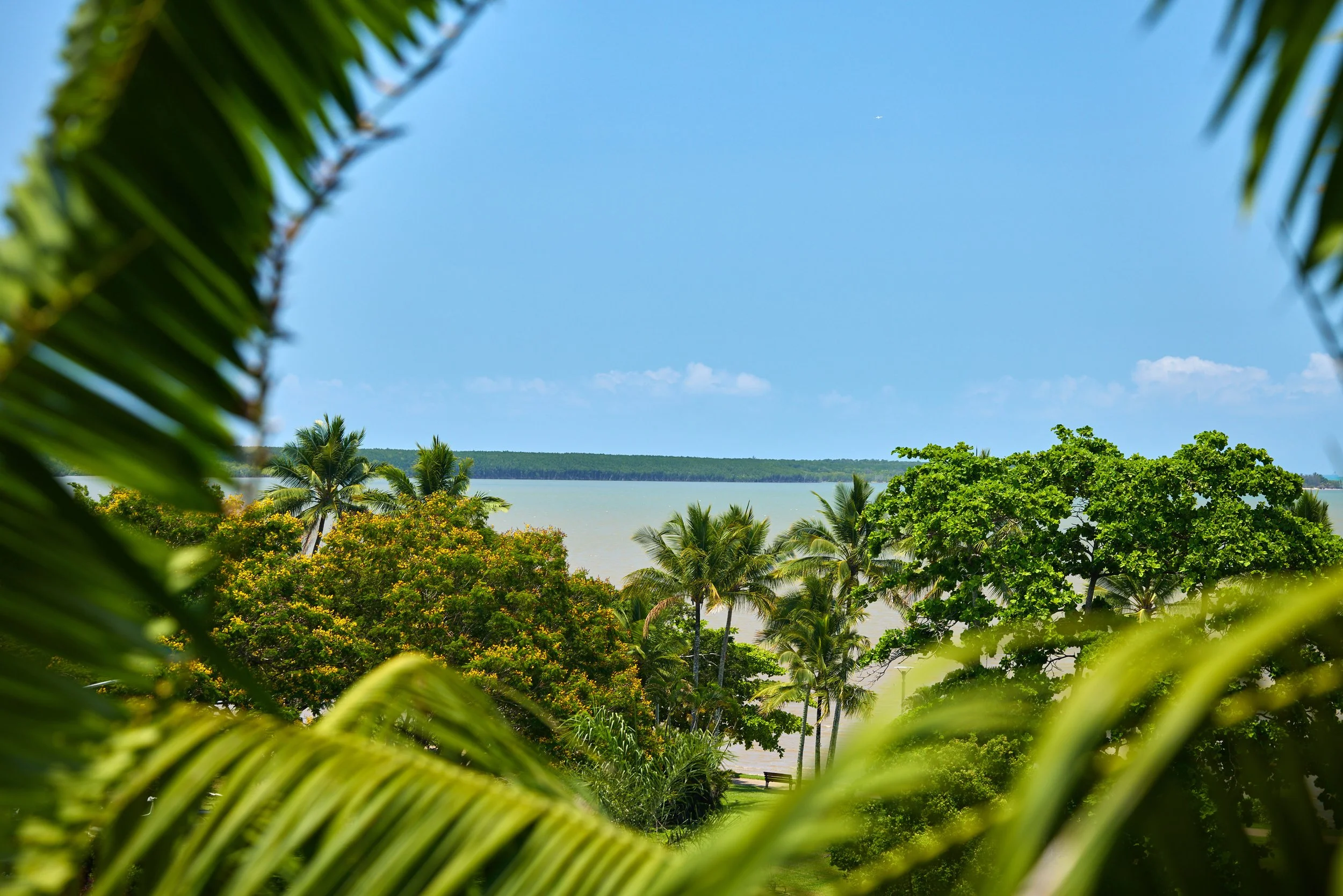 View with treetops and sea views of the ocean (2).jpg