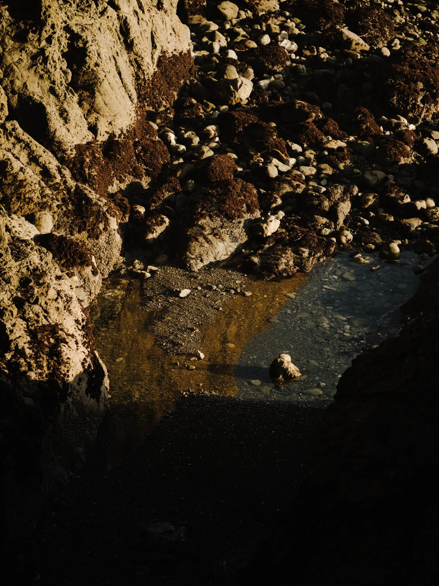 Mendocino January 2025SE_HR-34.jpg