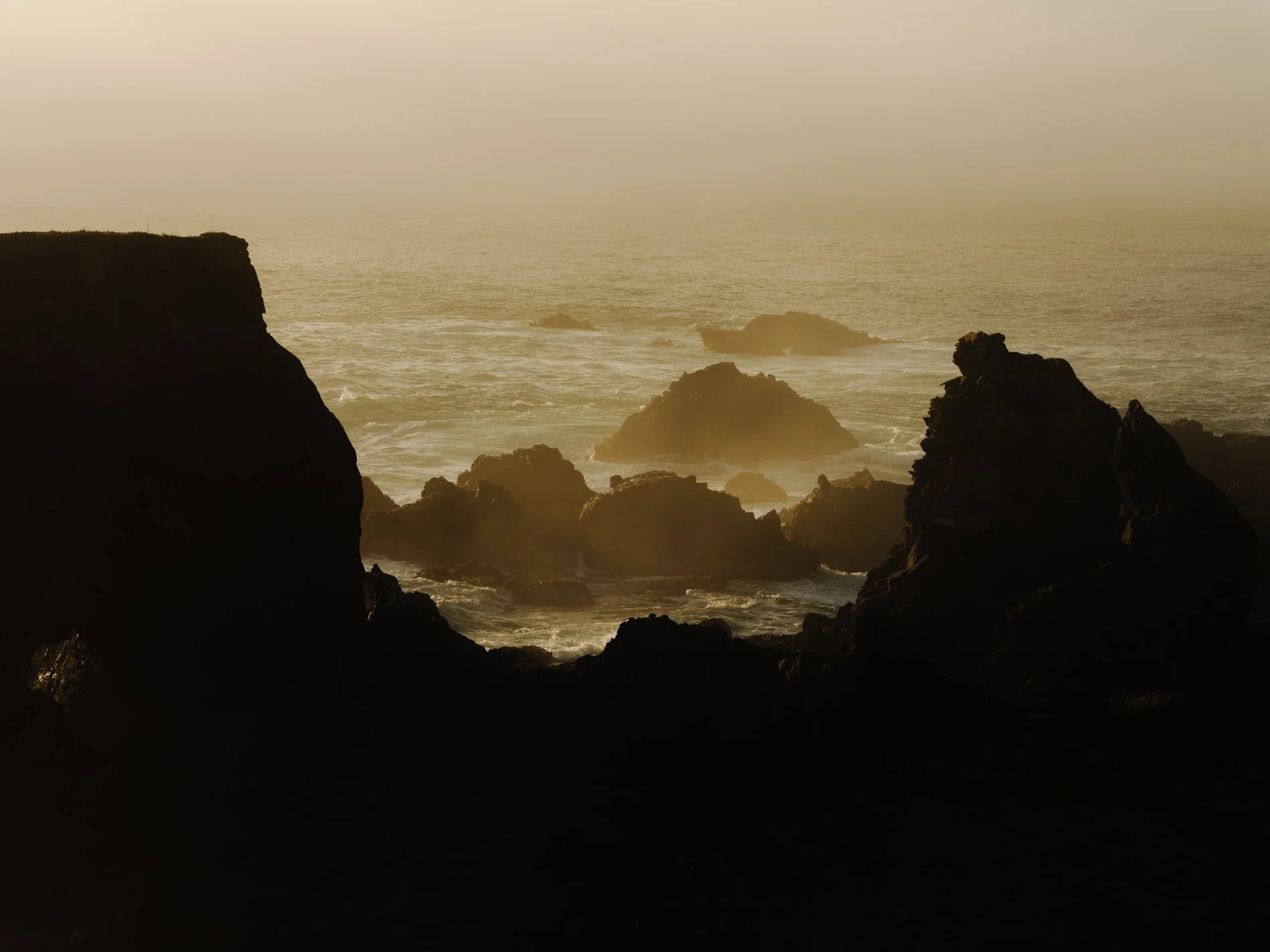 Mendocino January 2025SE_HR-38.jpg