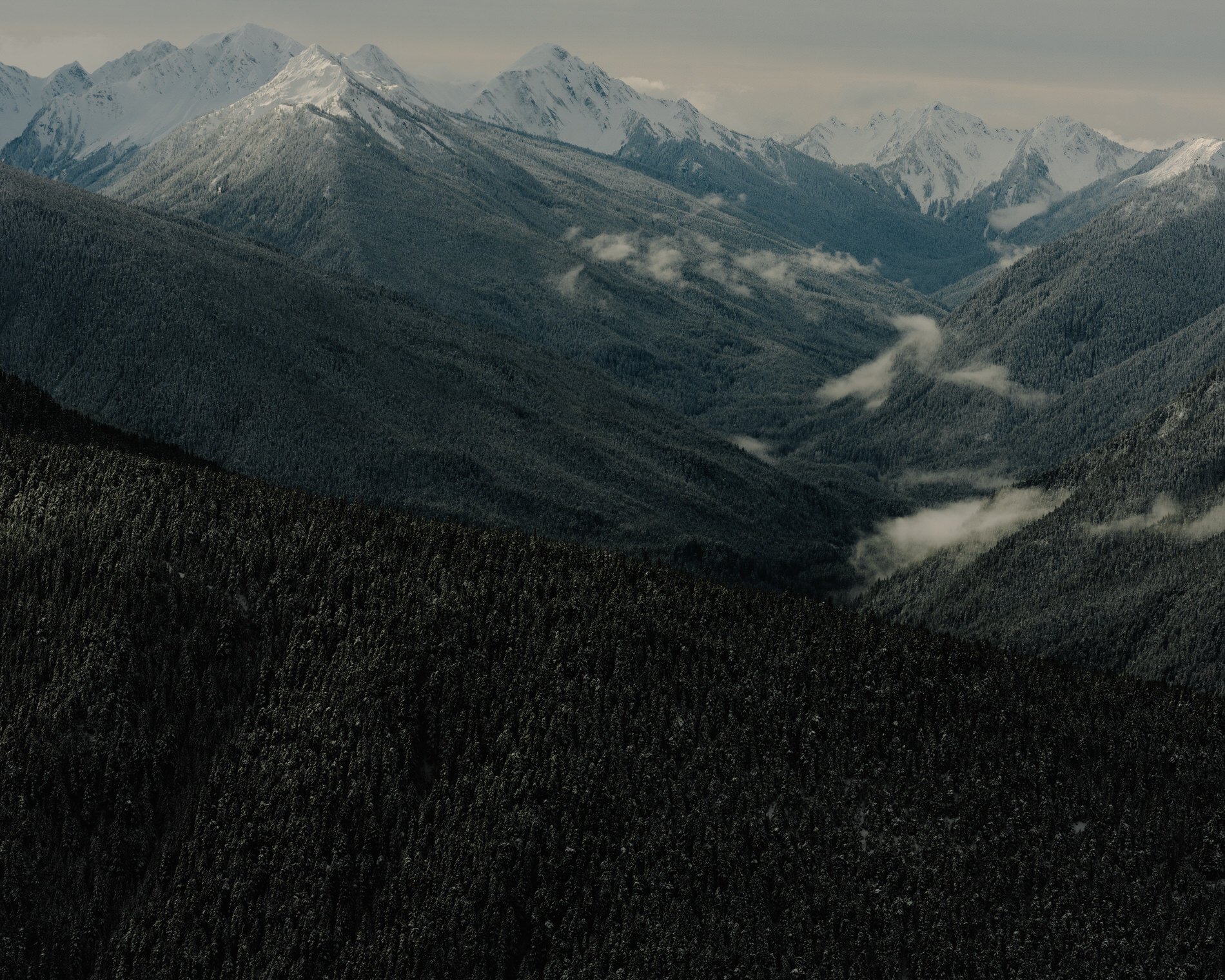 Olympic NP_SE_Alltrails032025HR-90.jpg