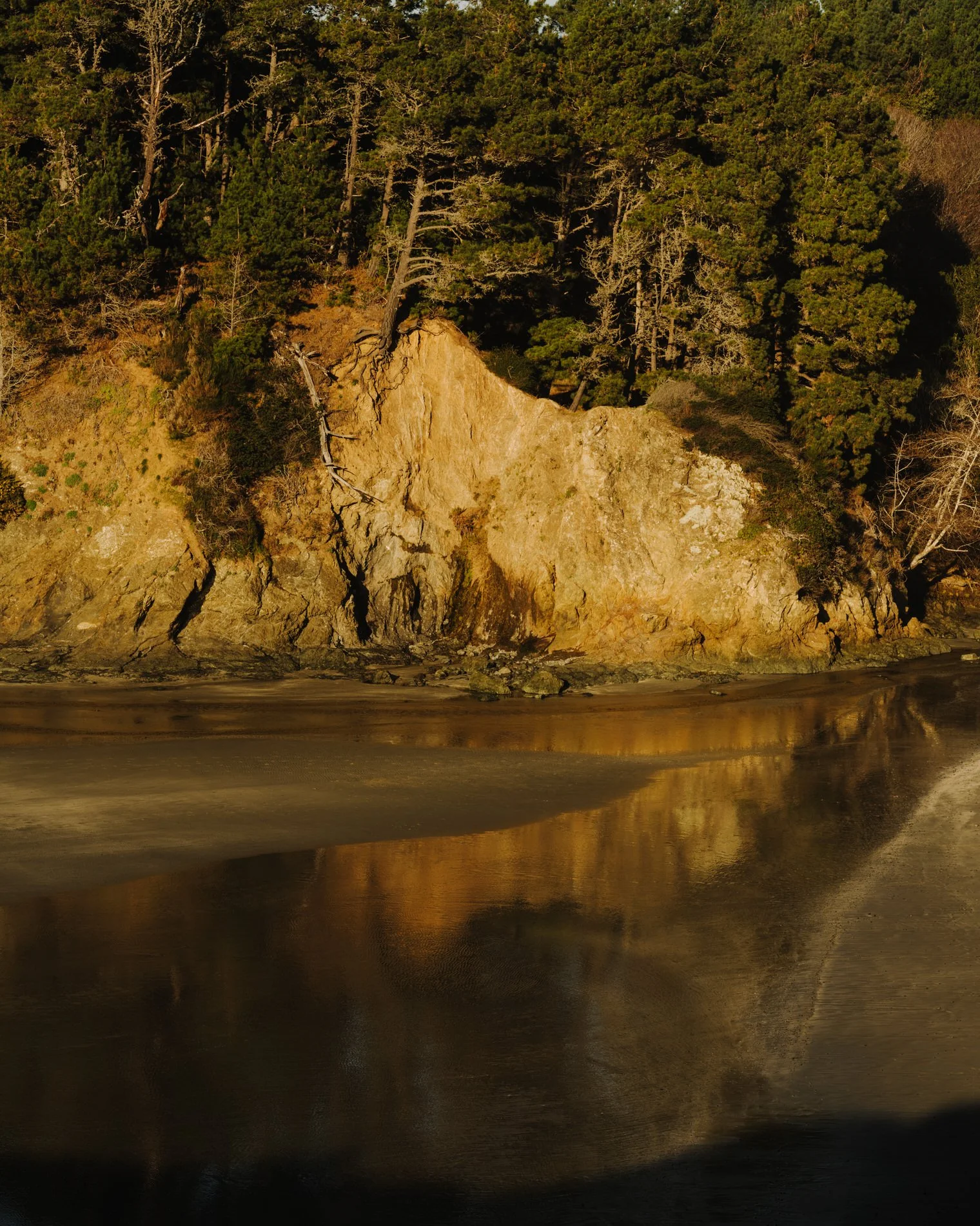 Mendocino January 2025SE_HR-22.jpg