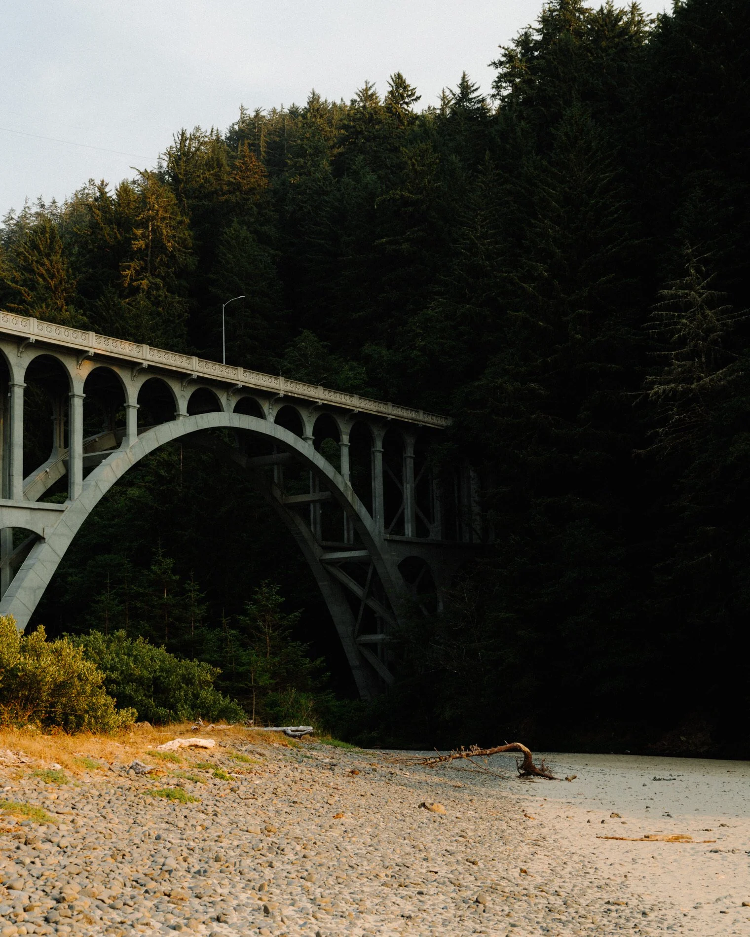Oregon Coast_SE_082023_HR-97.jpg