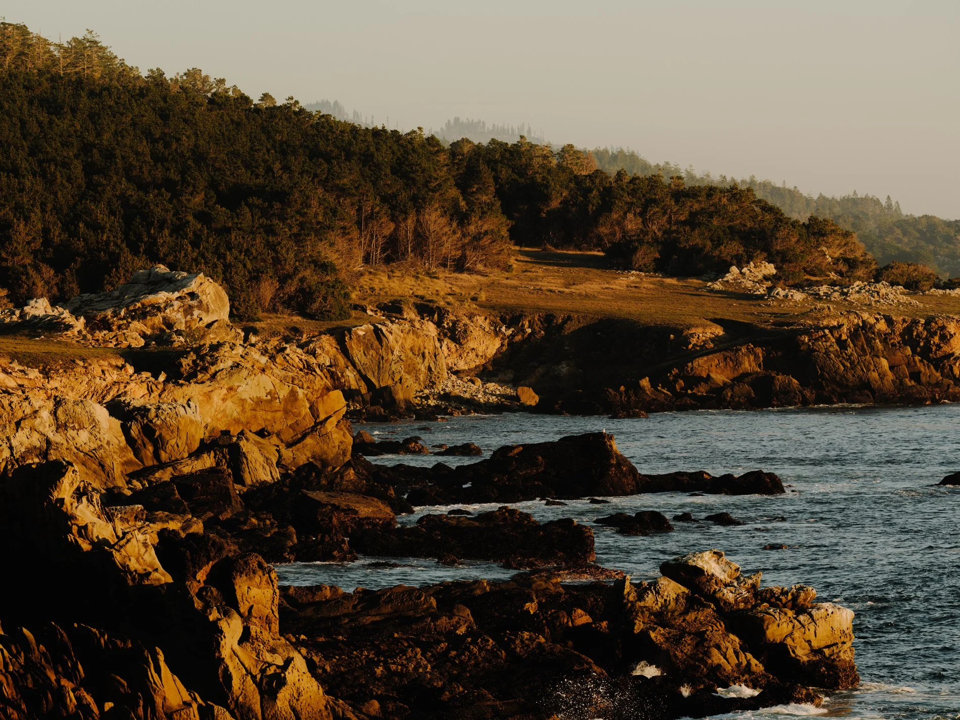 Mendocino January 2025SE_HR-64.jpg