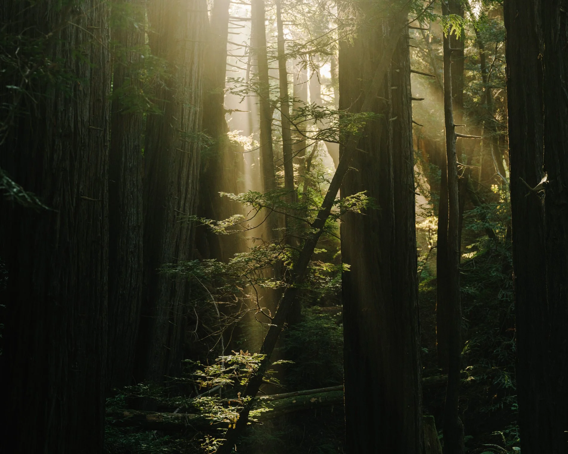 Coast Book SE_V40.jpg