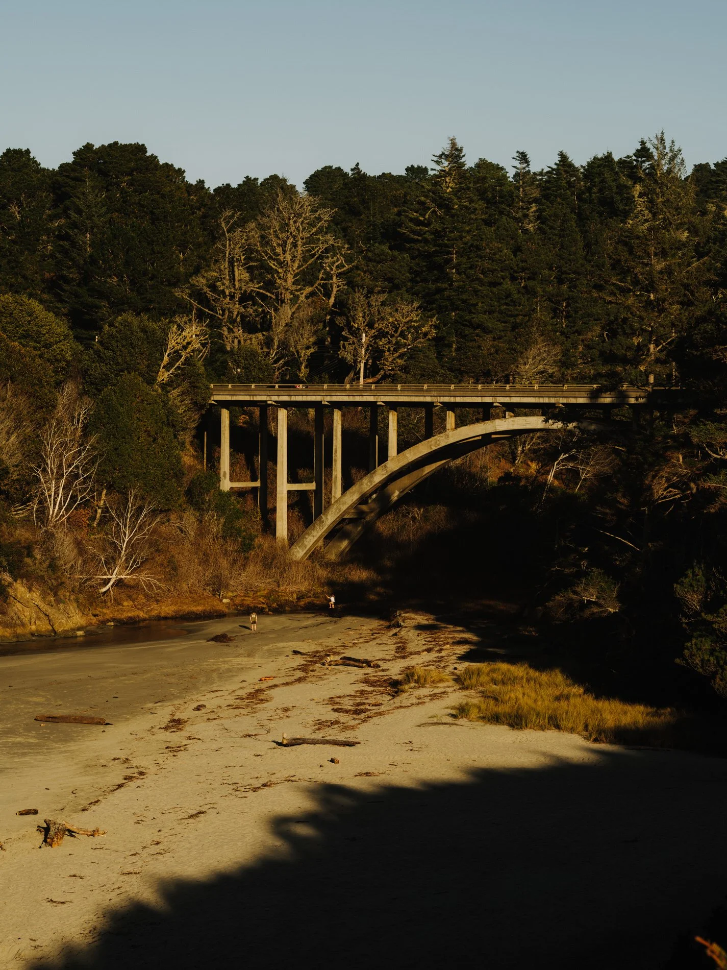 Mendocino January 2025SE_HR-23.jpg