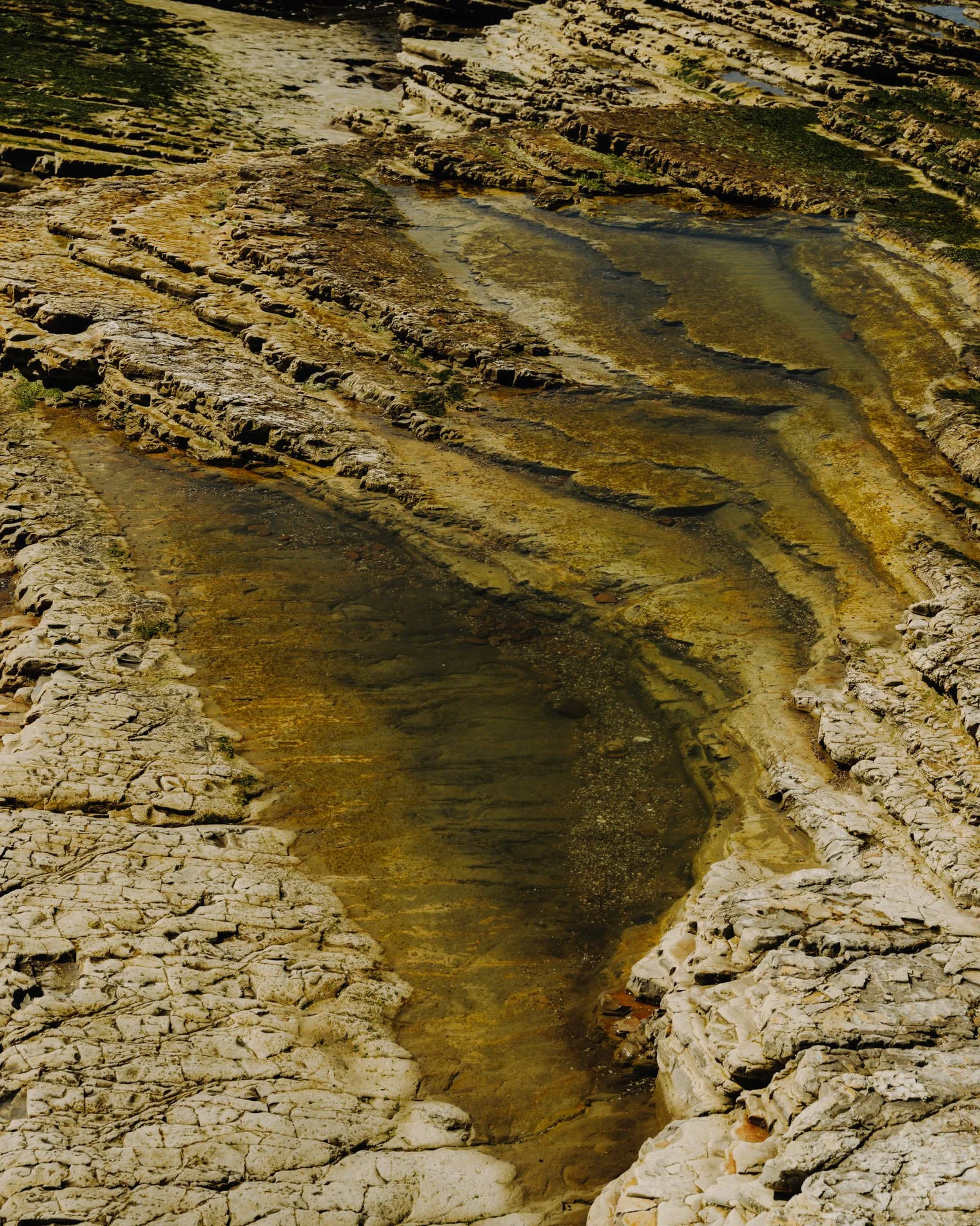 Coast Book SE_V146.jpg