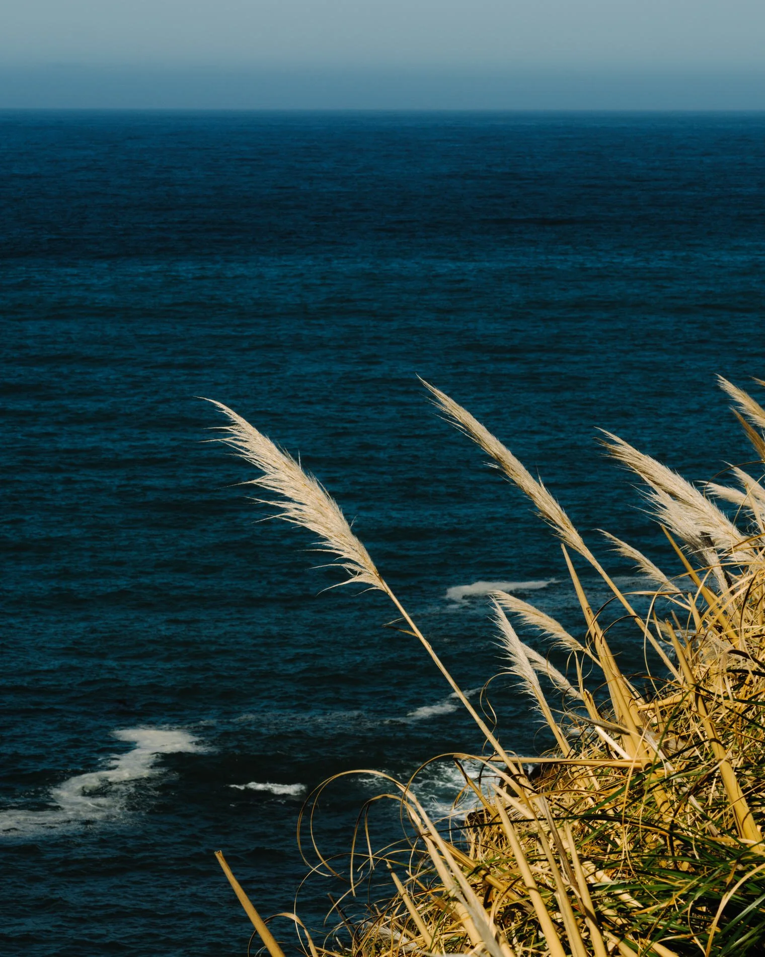 Coast Book SE_V62.jpg
