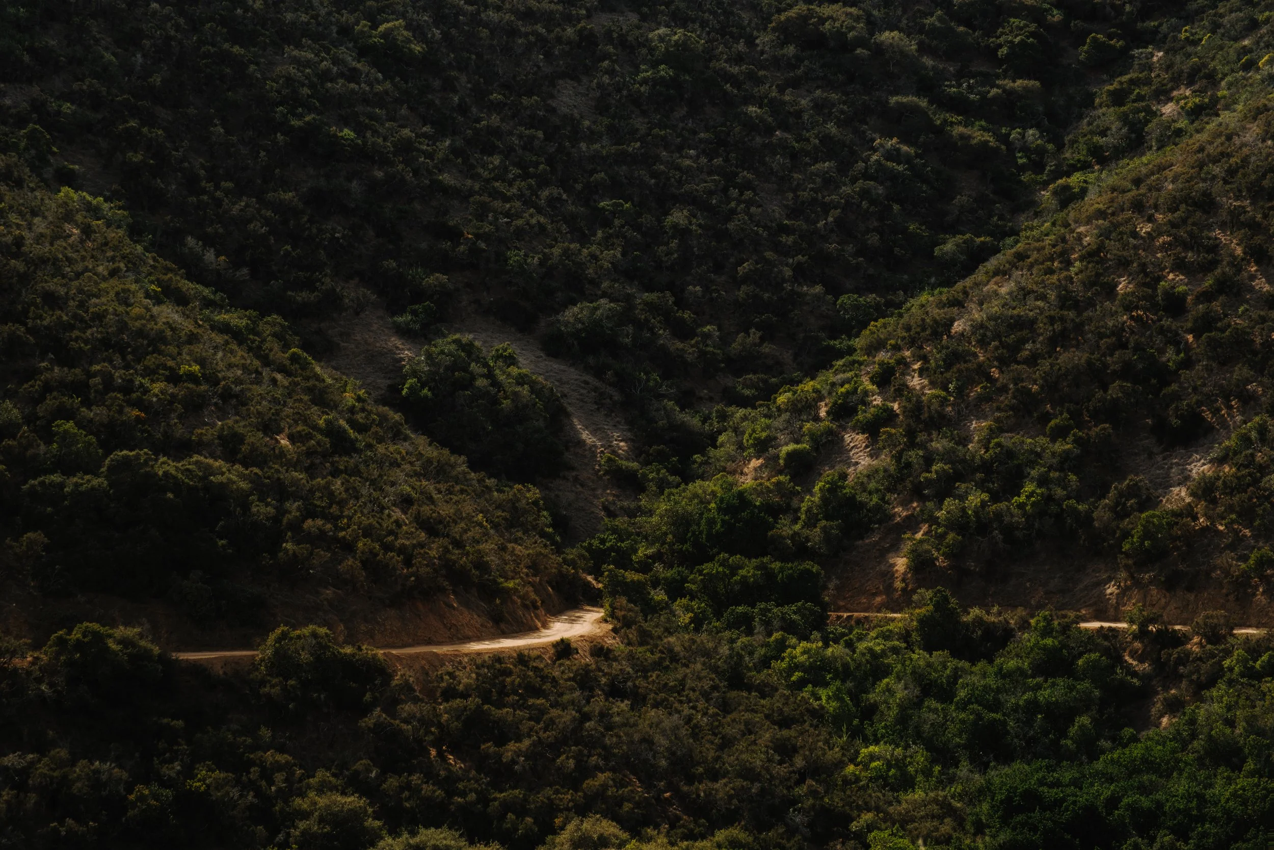 Catalina Backpacking January 2025SE_HR-15.jpg