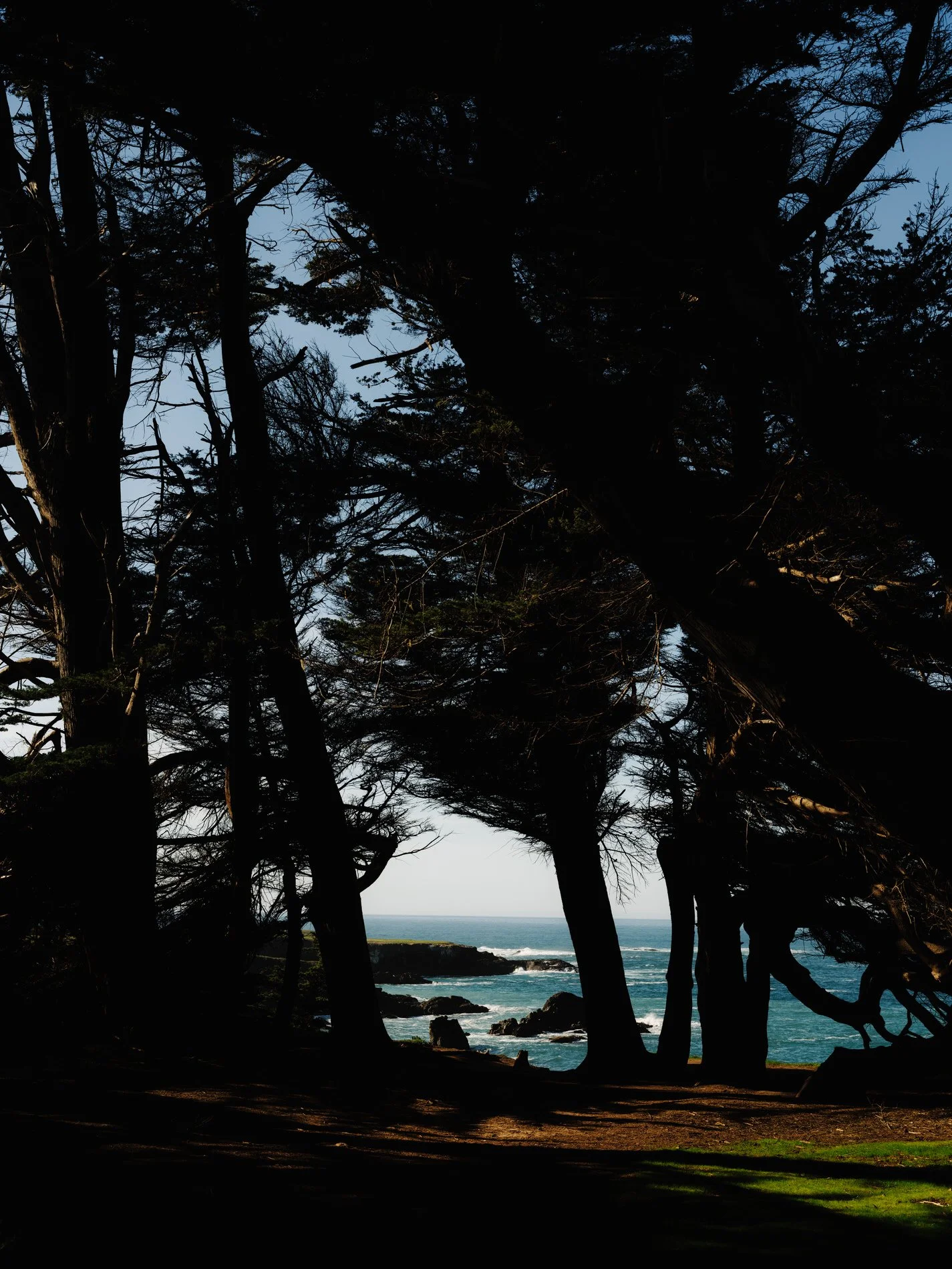 Mendocino January 2025SE_HR-11.jpg