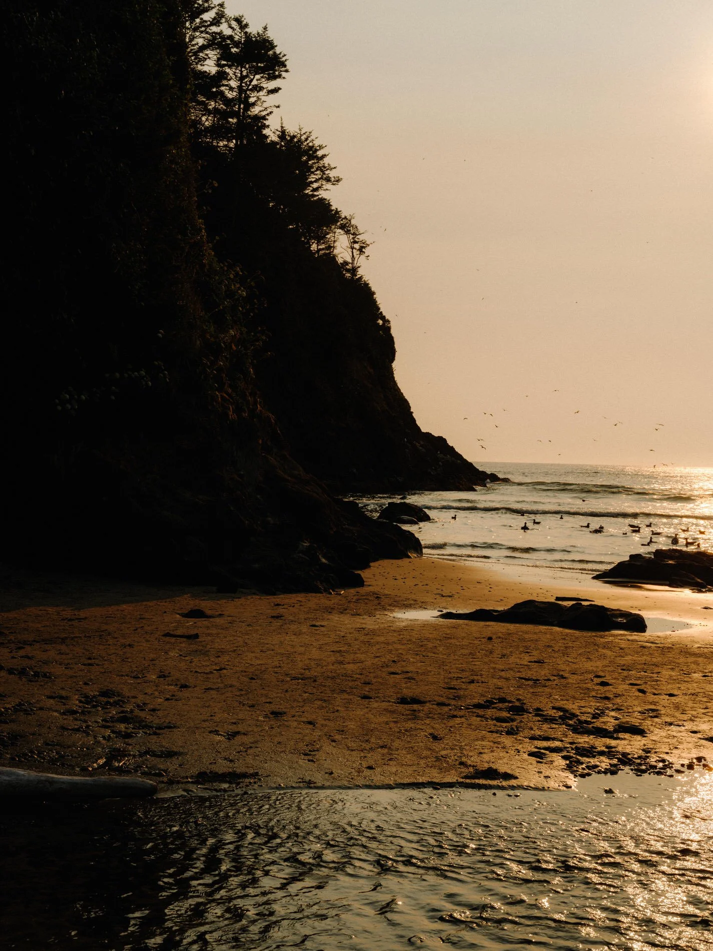 Oregon Coast_SE_082023_HR-98.jpg