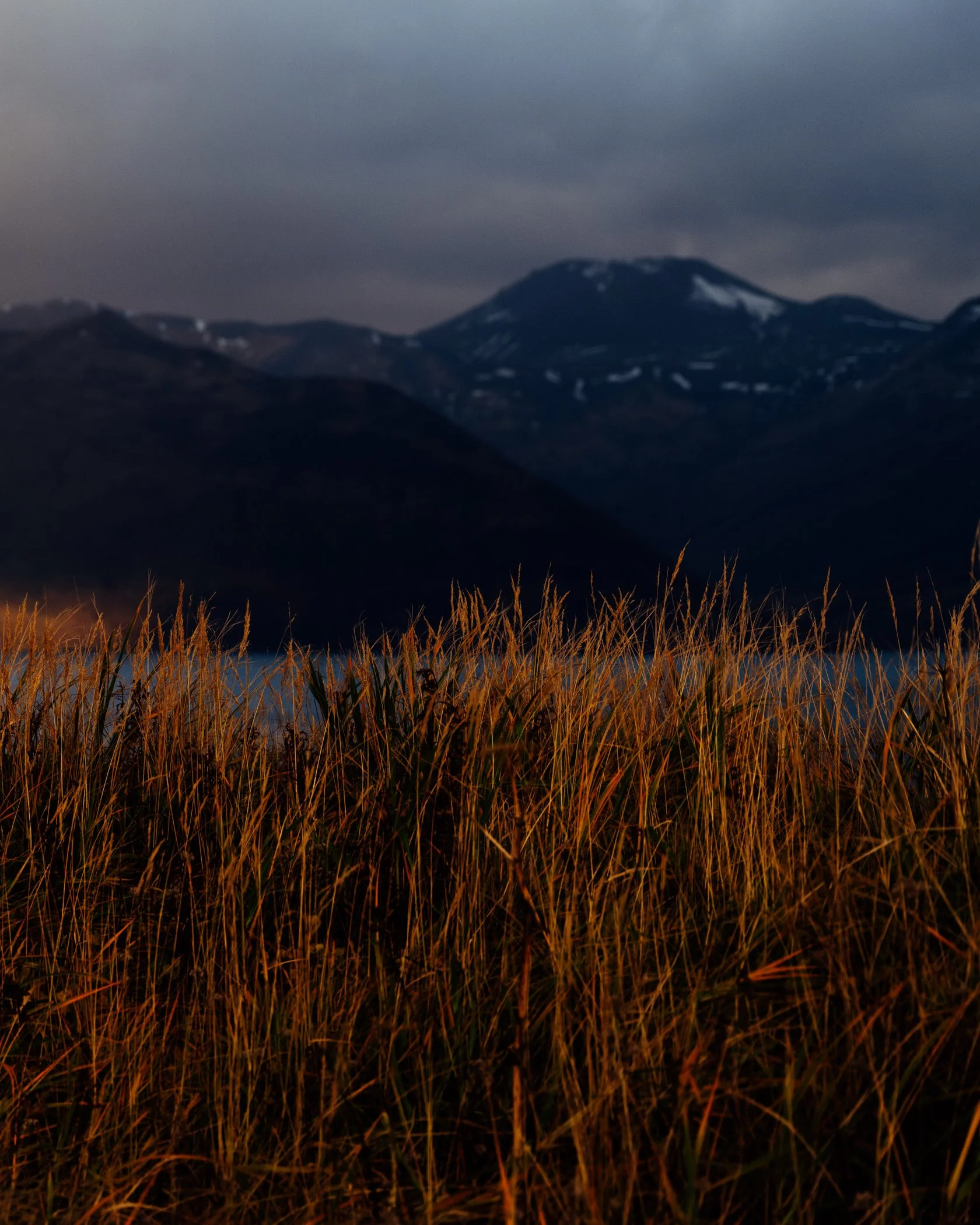 Dutch Harbor_HR_2024_Web-25.jpg