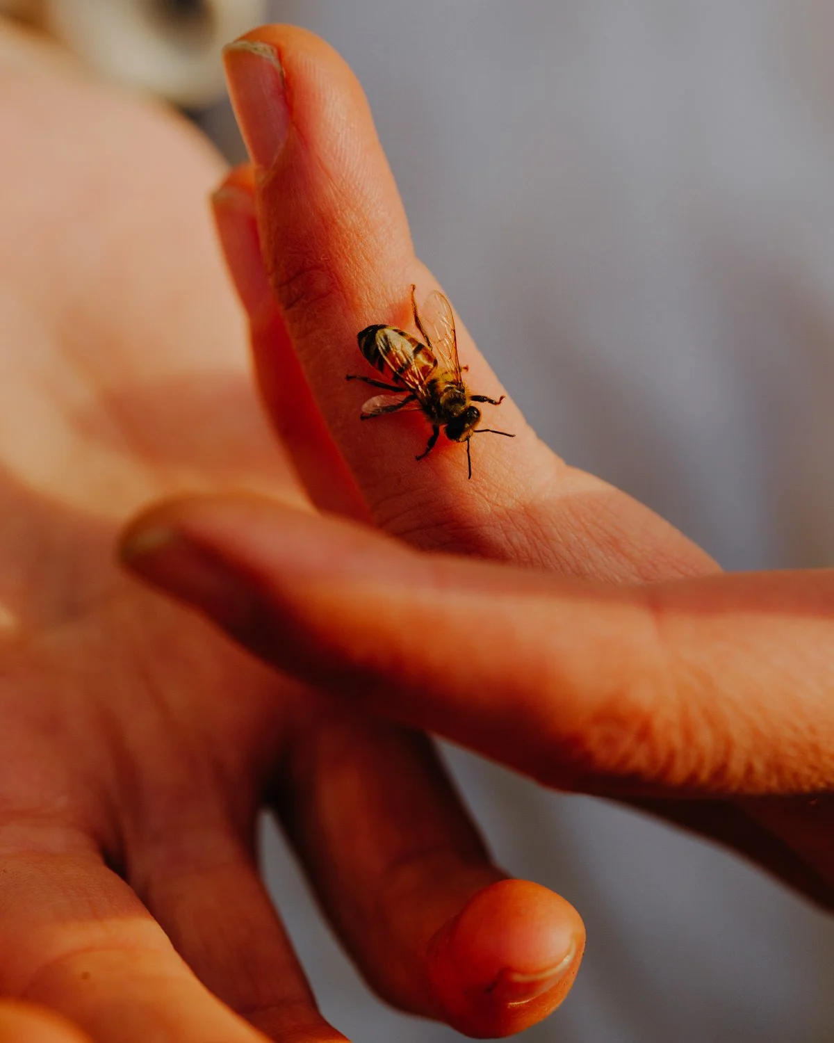 Kate Hinkens_SE_0126HR-26.jpg