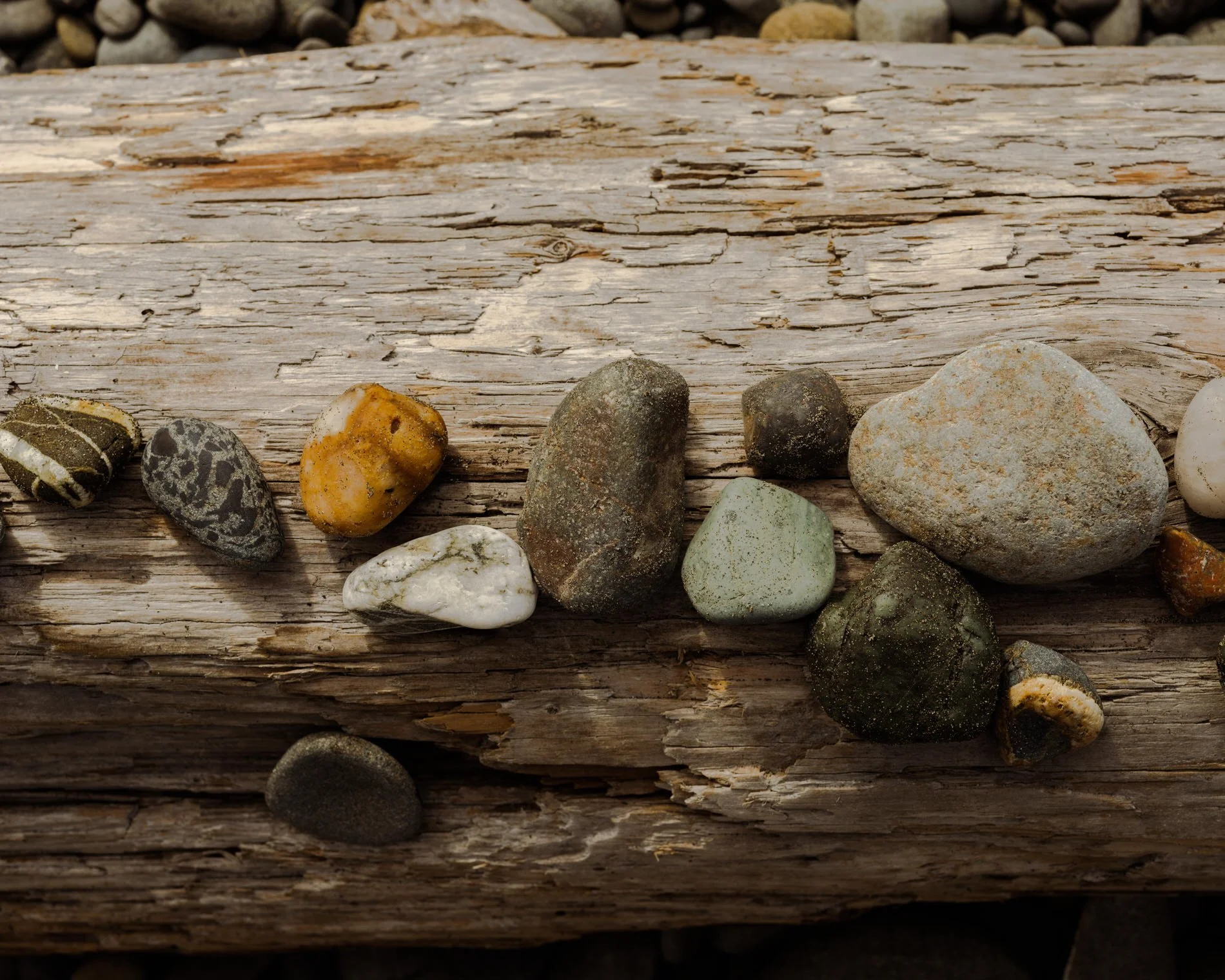 La Push _SE2021-1.jpg