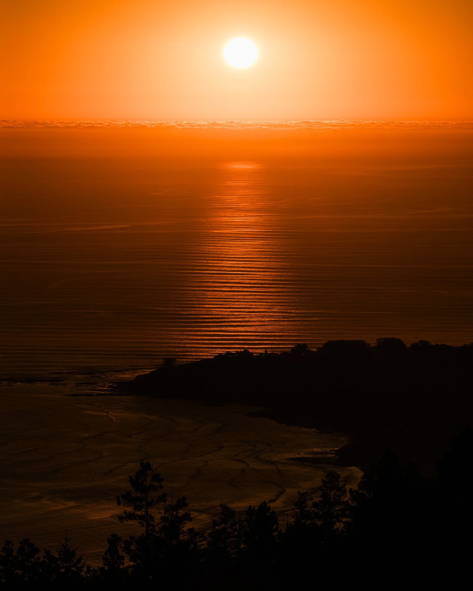 Mendocino January 2025SE_HR-67.jpg