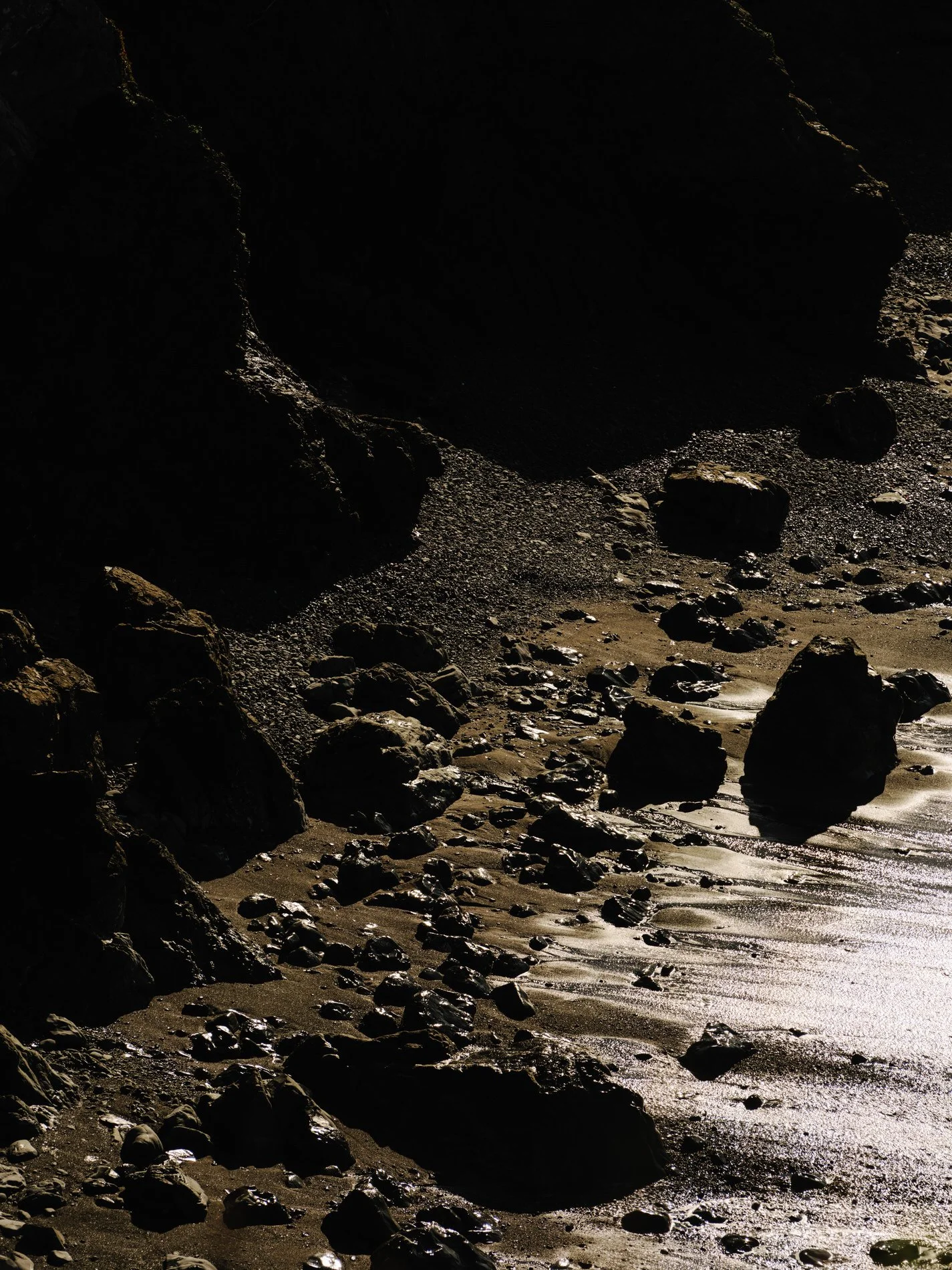 Mendocino January 2025SE_HR-16.jpg