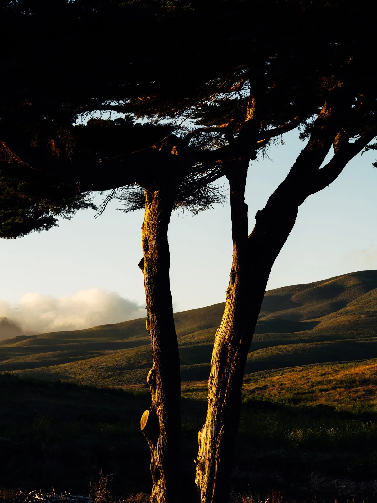 Coast Book SE_V57.jpg