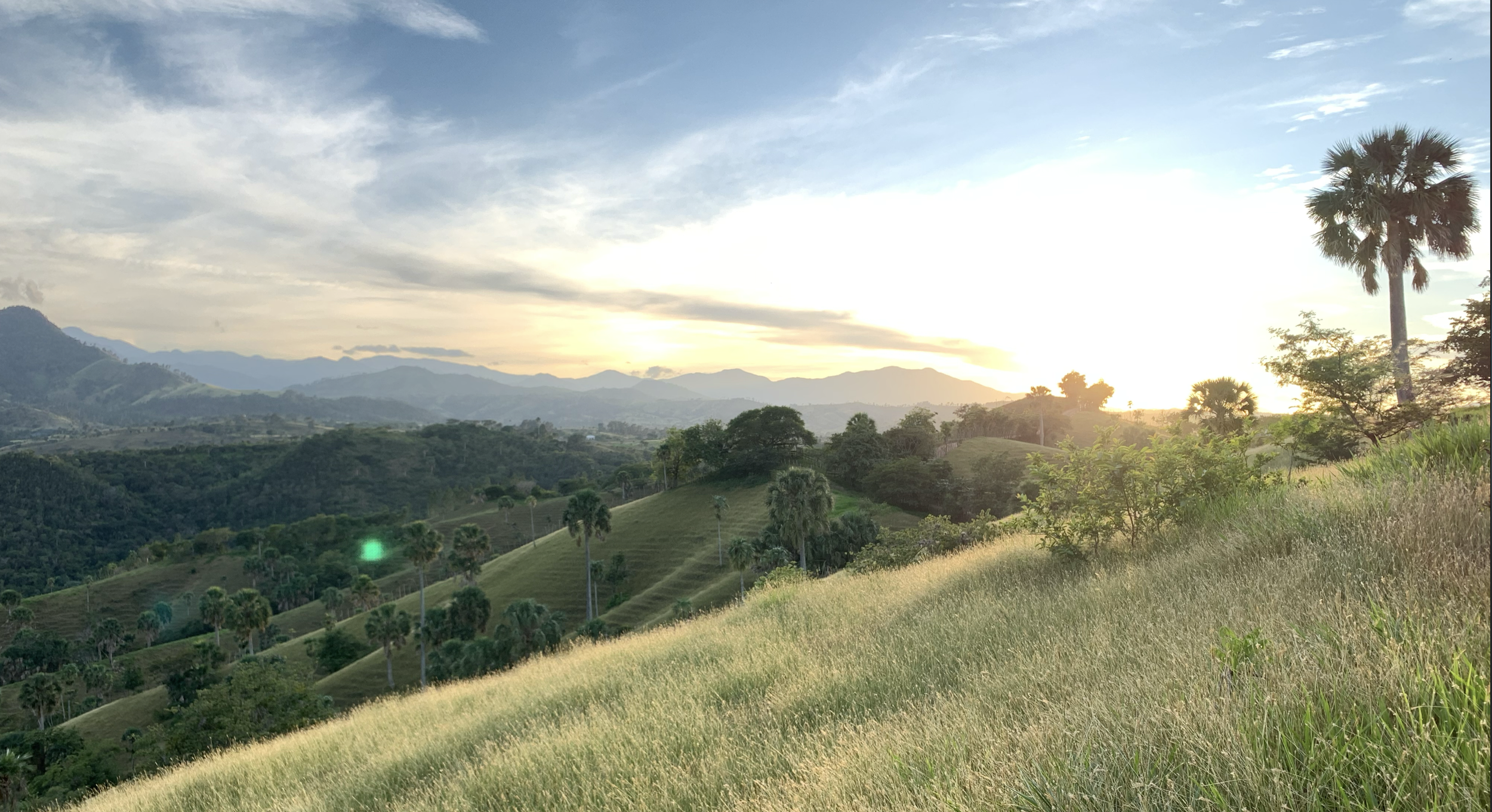 Screenshot 2023-07-19 at 4.32.25 PM.png