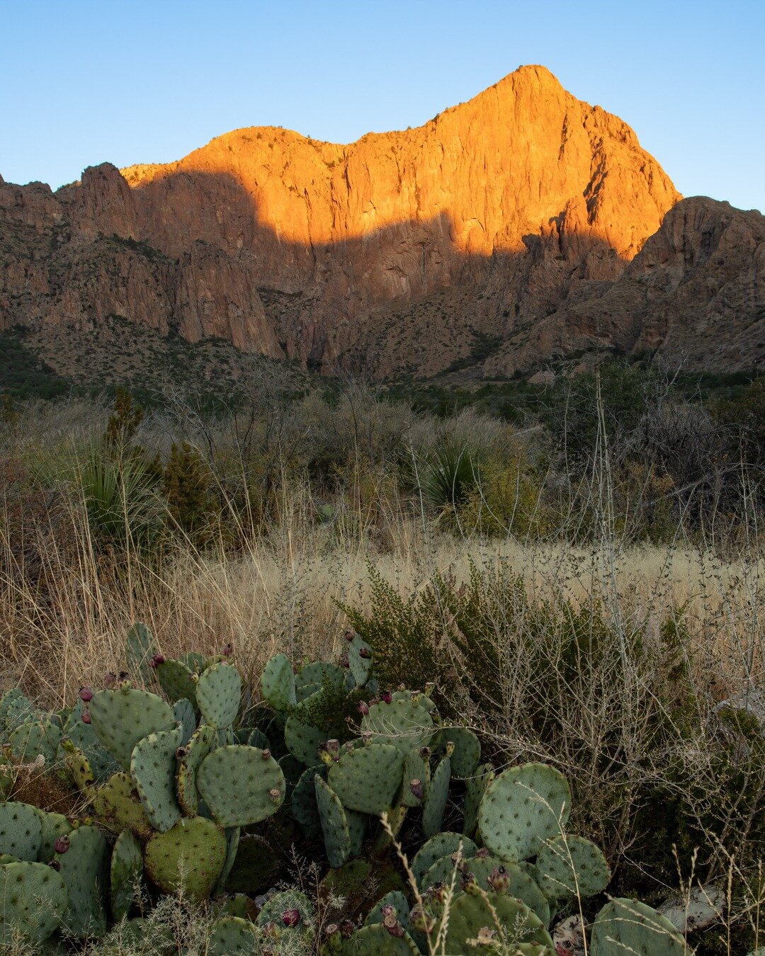 Prints and Digital Downloads Available at www.zachgibbonsphotography.com

#desert #desertlife #nature #landscapes #landscapephotography #wilderness #adventures #outdoors #explore #travel #backpacking #hiking #trekking #remote #intothewild #exploratio