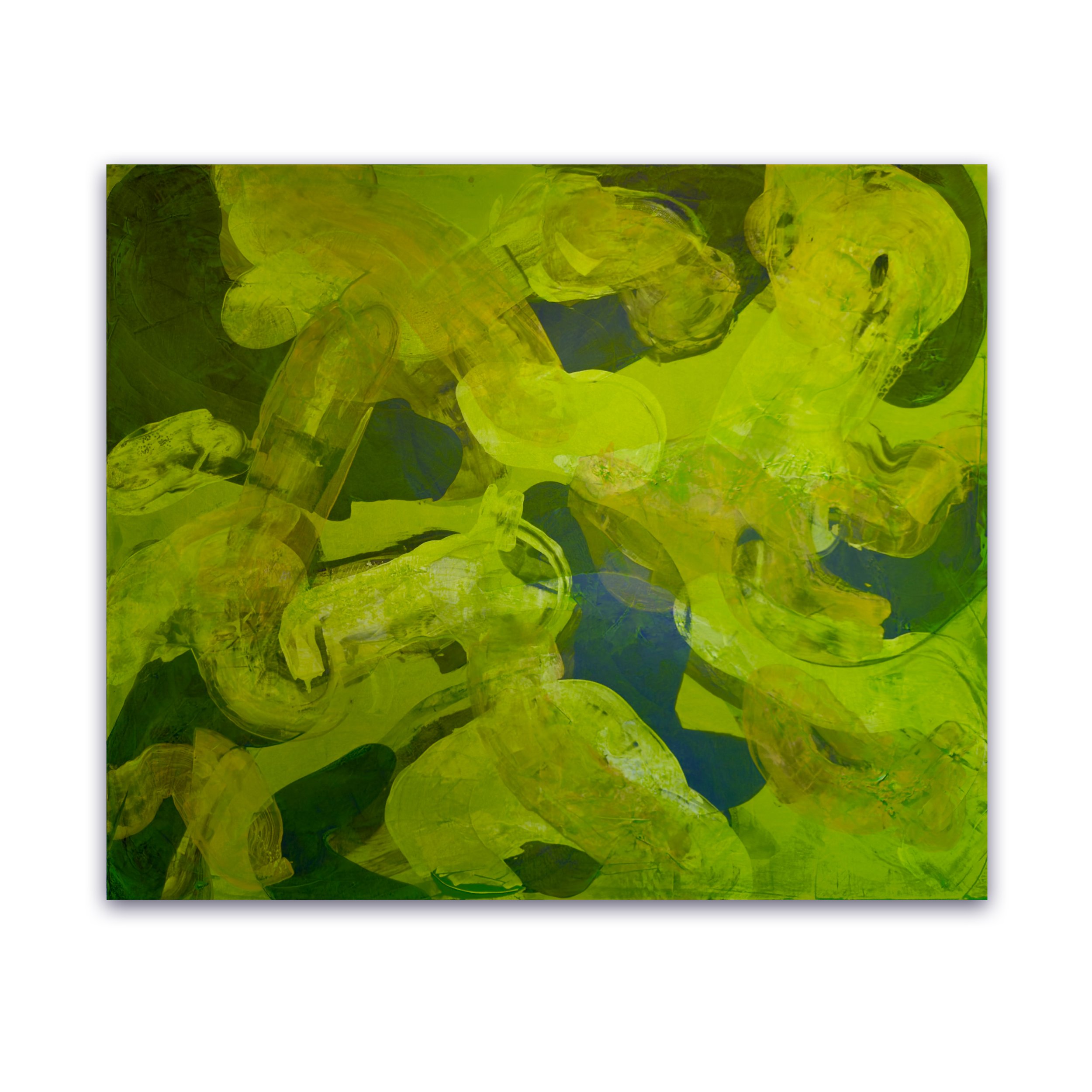 Absorb 5.jpg