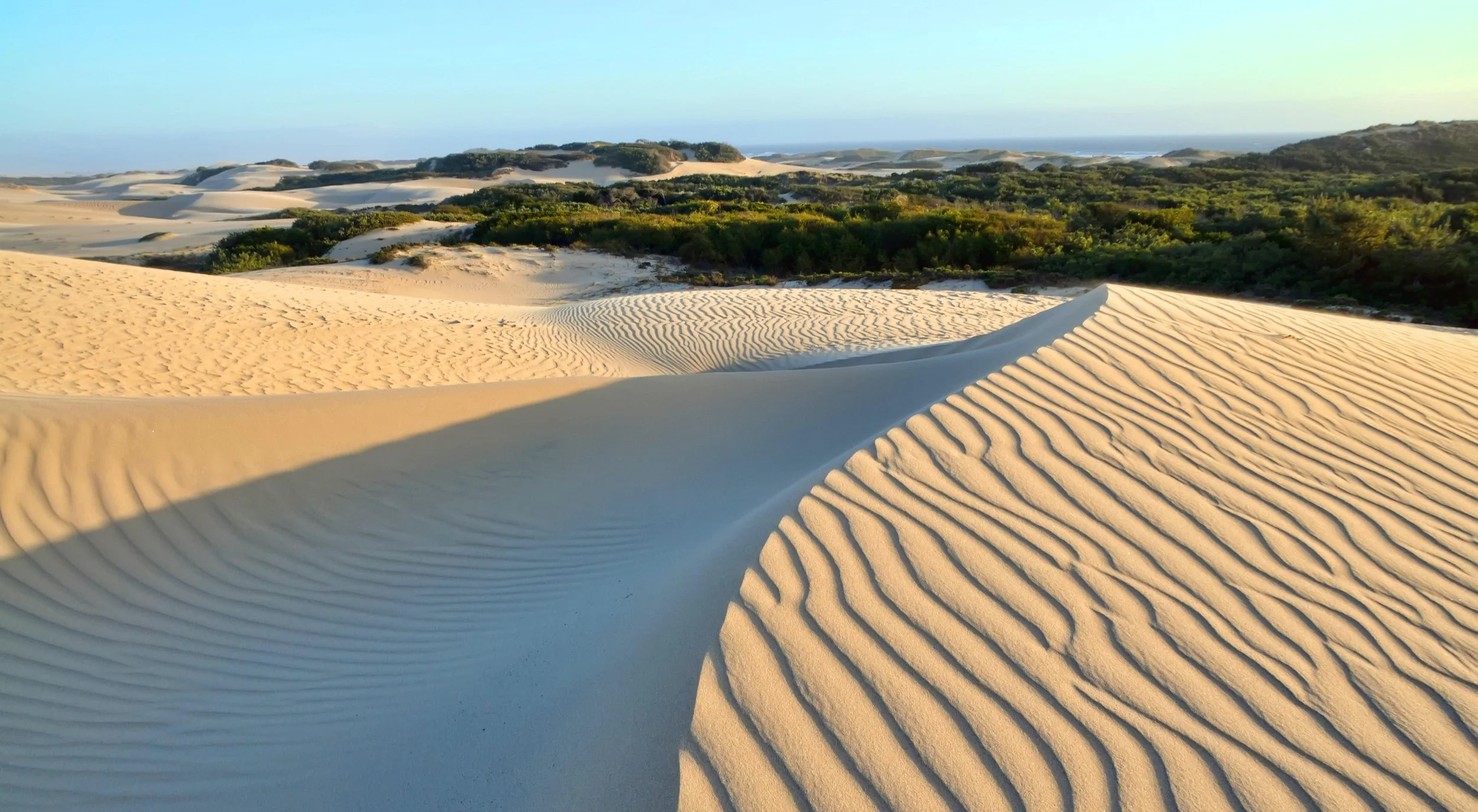 Guadalupe-Nipomo-Dunes-scenic.jpg