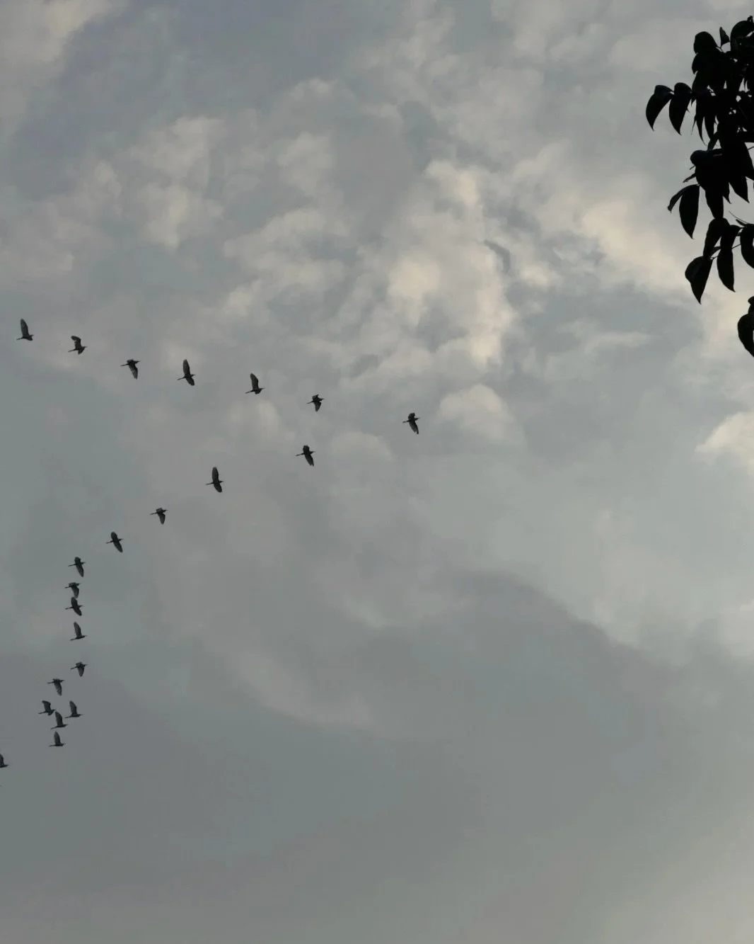 The only migration I don&rsquo;t support is filler migration 

Sincerely,

Your dedicated aesthetic injector