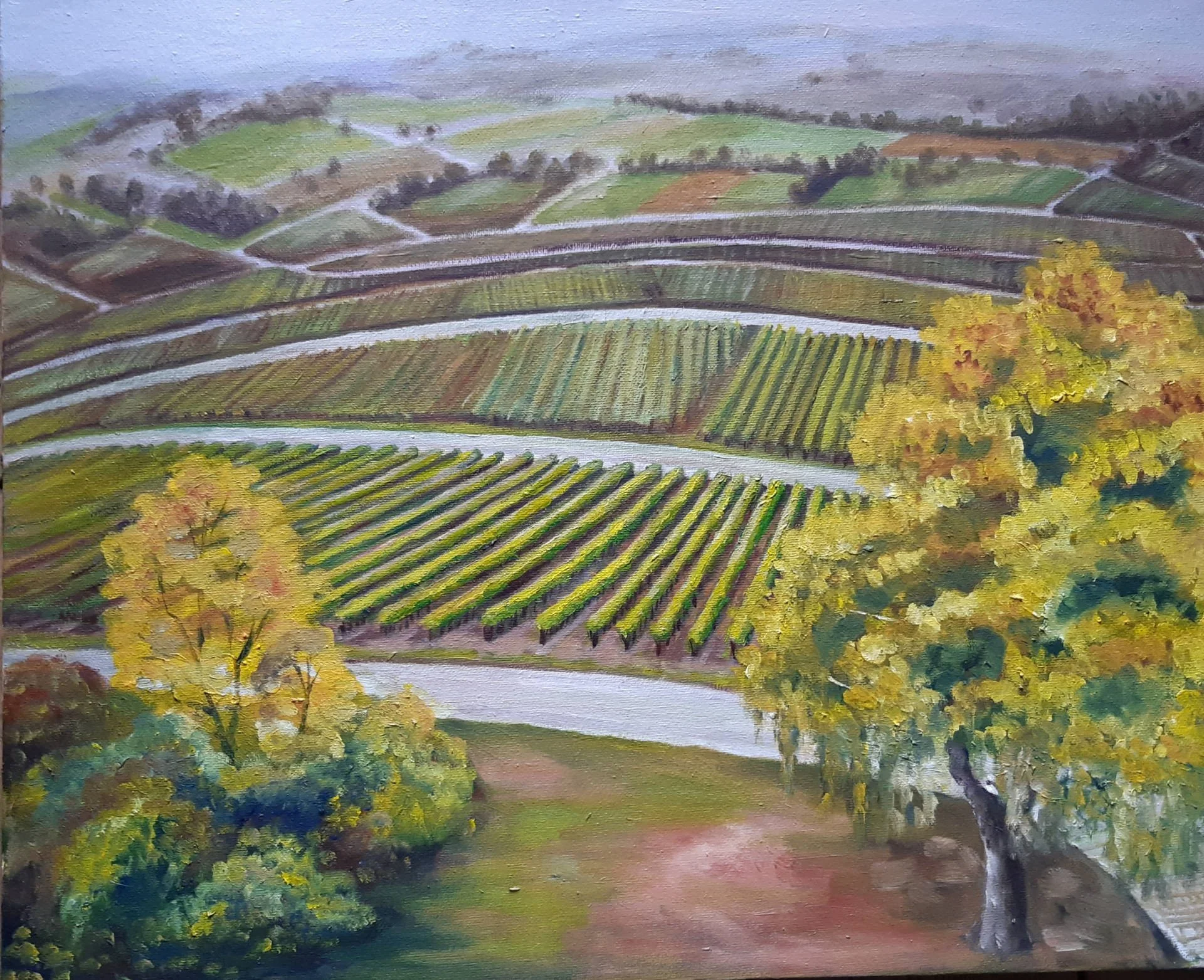 Vineyards near Brackenheim.JPG