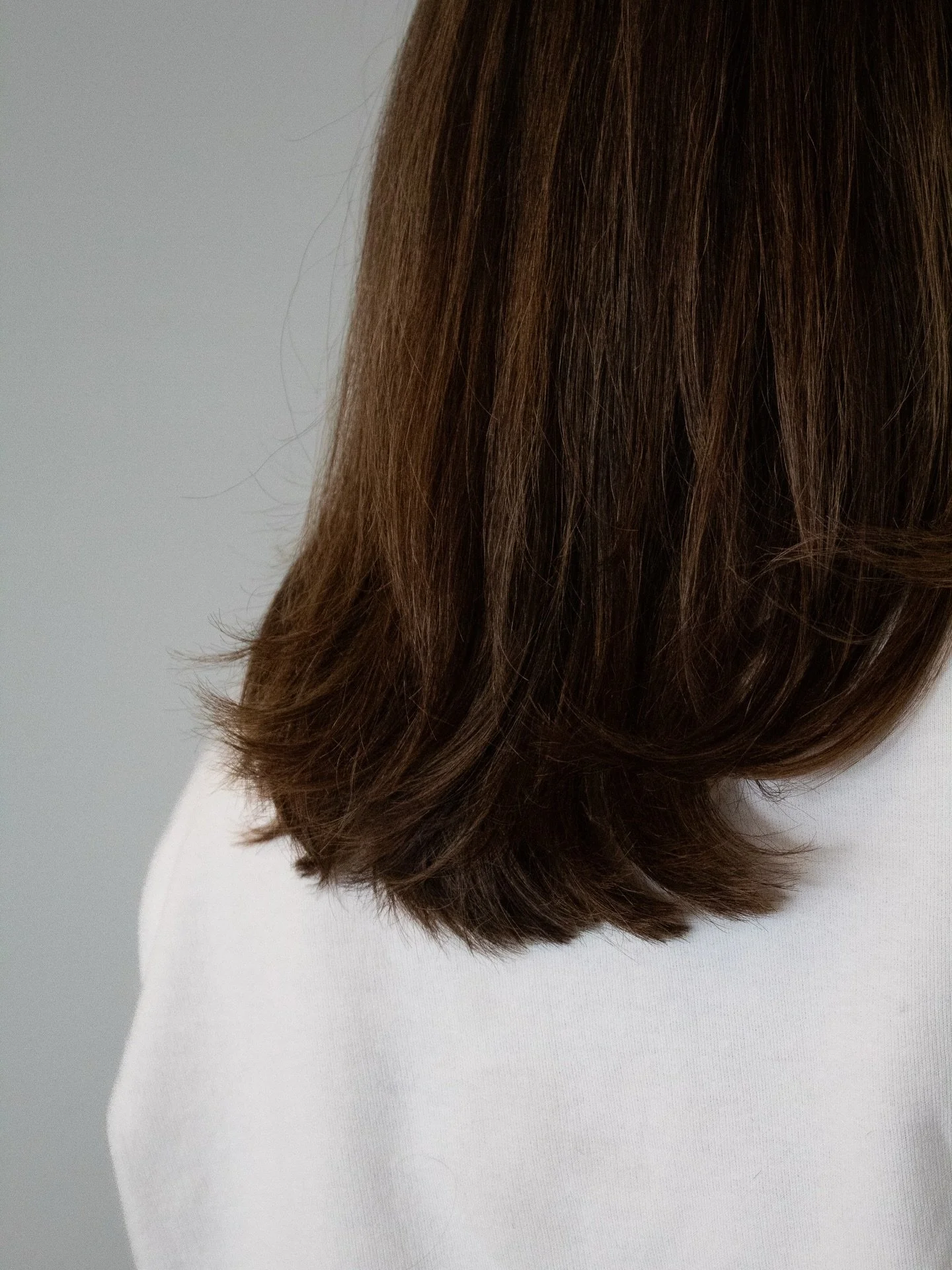 THE RETOUCH |  Refreshed + Renewed

&bull;

Sometimes a simple as a retouch is all you need to transform your entire look, making you feel BRAND NEW.

STYLIST: @sunshine_healinghair 
COLOR: @lanzahaircare 
CONTENT: @michaelamariedesign 

&bull;

#hai