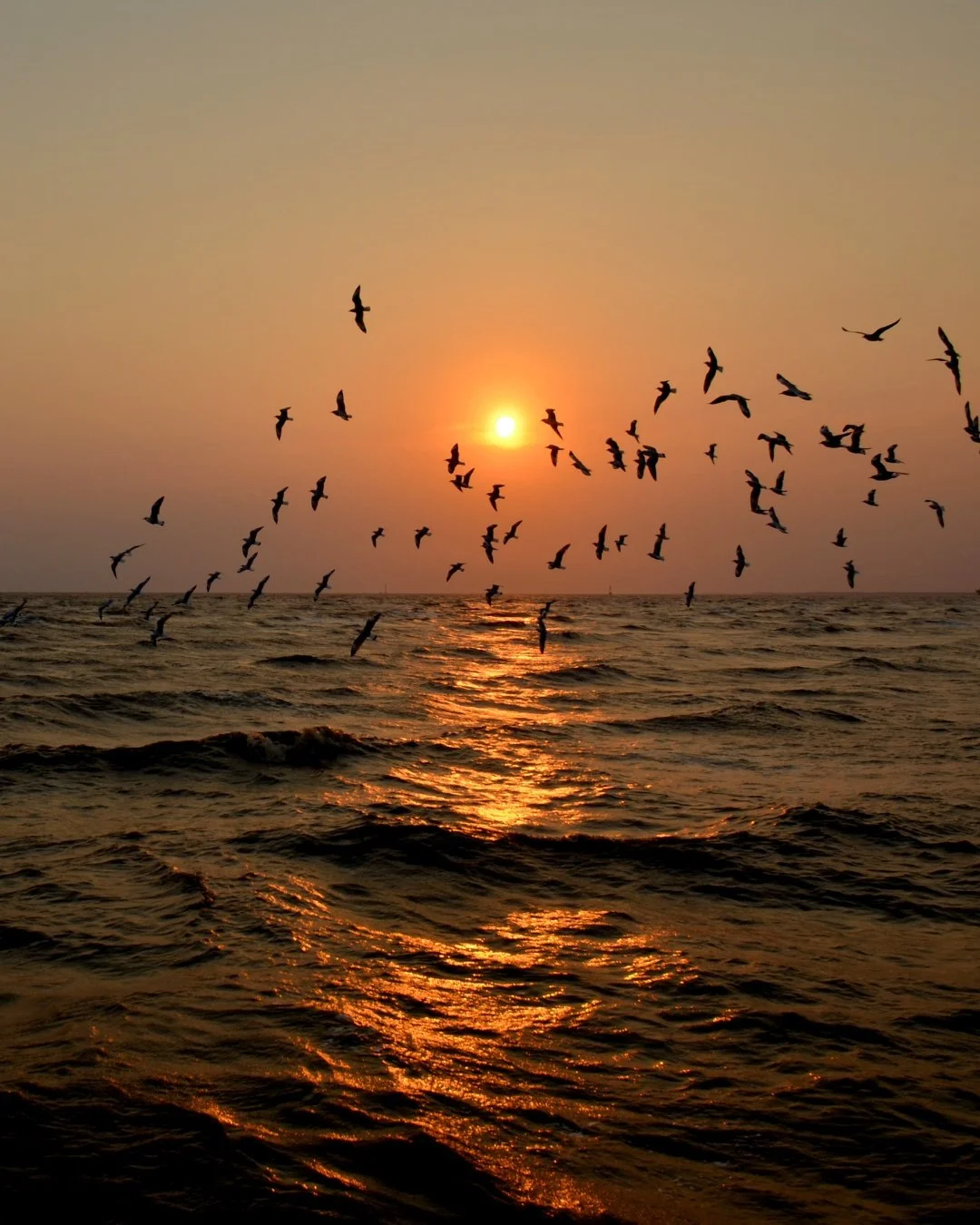 At NISFF, filmmakers are not distant figures.

They attend screenings.
They sit in the audience alongside everyone else.
They stay when the lights come back up.

The festival is designed to create space for genuine exchange between filmmakers and aud