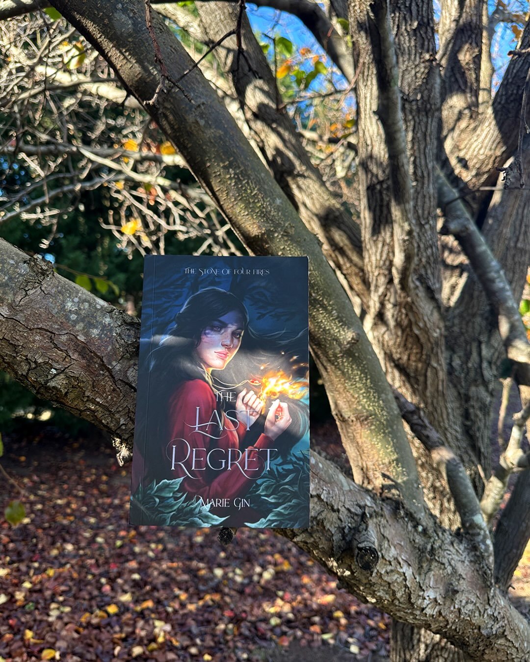 The Stone of Four Fires will become a trilogy rather than a 4-book series, as I want to expand my wings (I have so many book ideas I want to write!) but also not leave readers on cliffhangers. Aiming for book 3 to come out in 2027! 🥰🔥 Grab your cop
