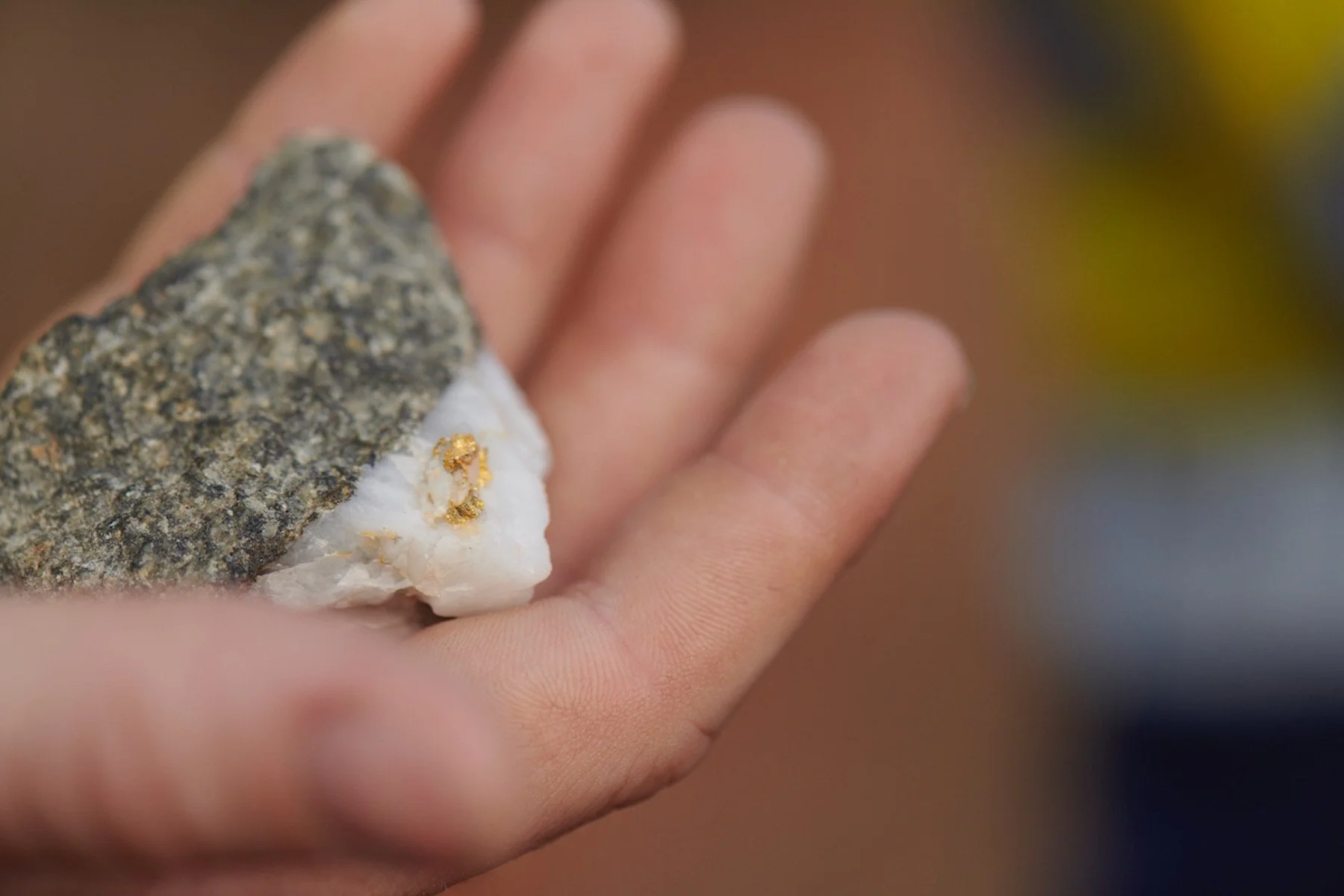 Northern star resource annual report